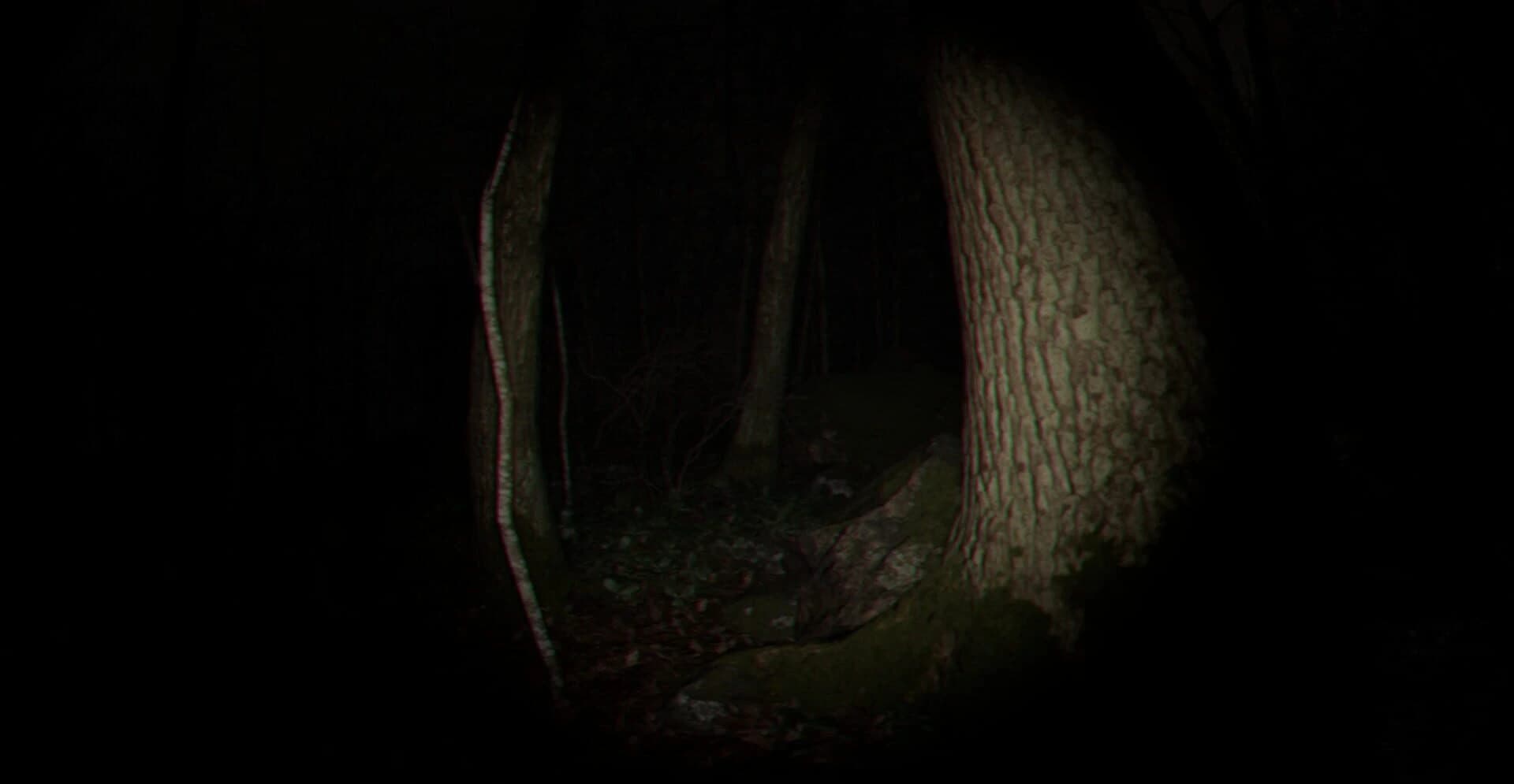 Playback Trauma: The Dog screenshot 2