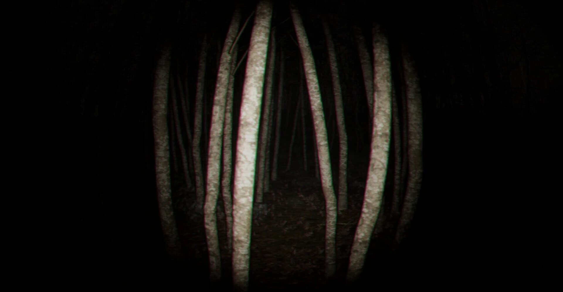 Playback Trauma: The Dog screenshot 1