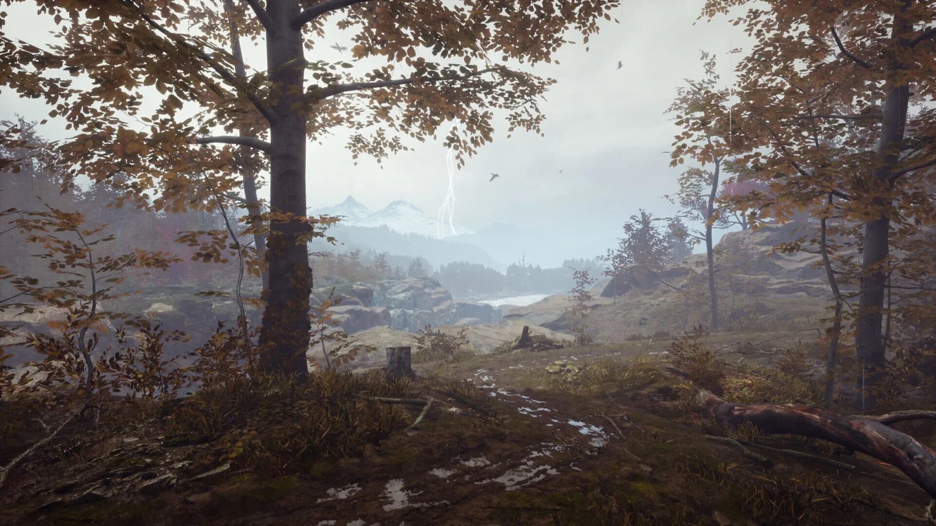 Pluviophile screenshot 1