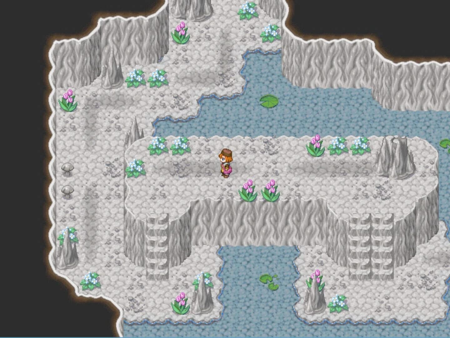 Pocket Mina screenshot 4