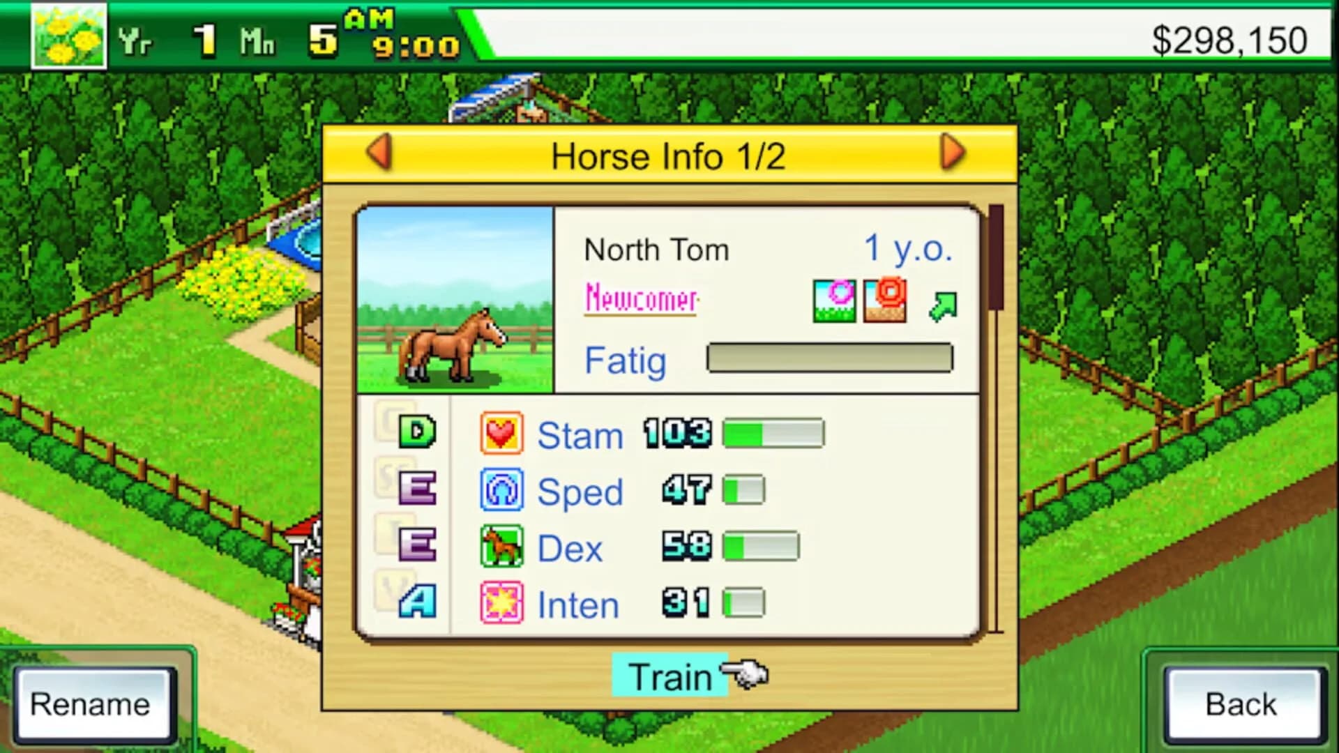 Pocket Stables screenshot 5