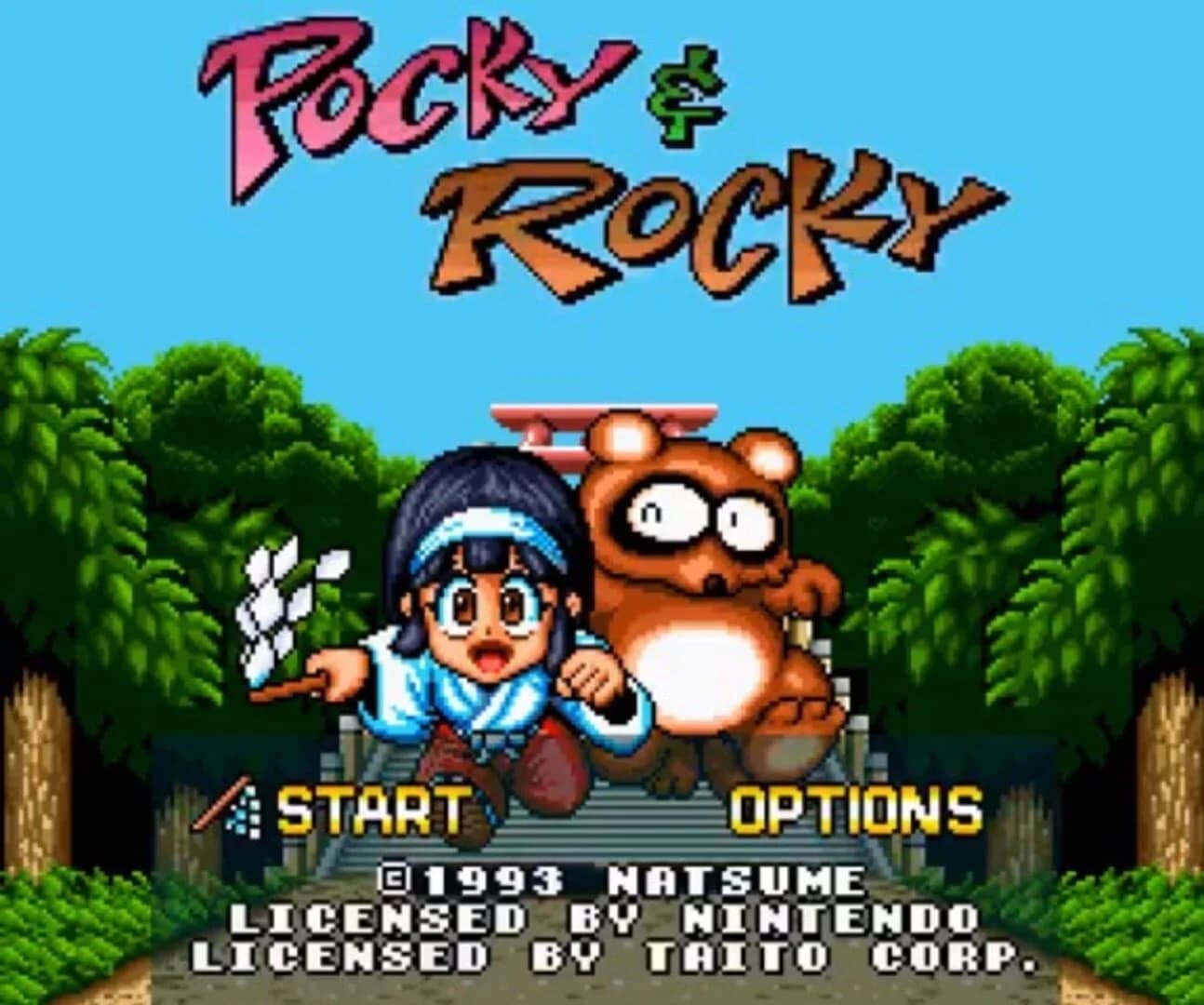 Pocky & Rocky screenshot 5