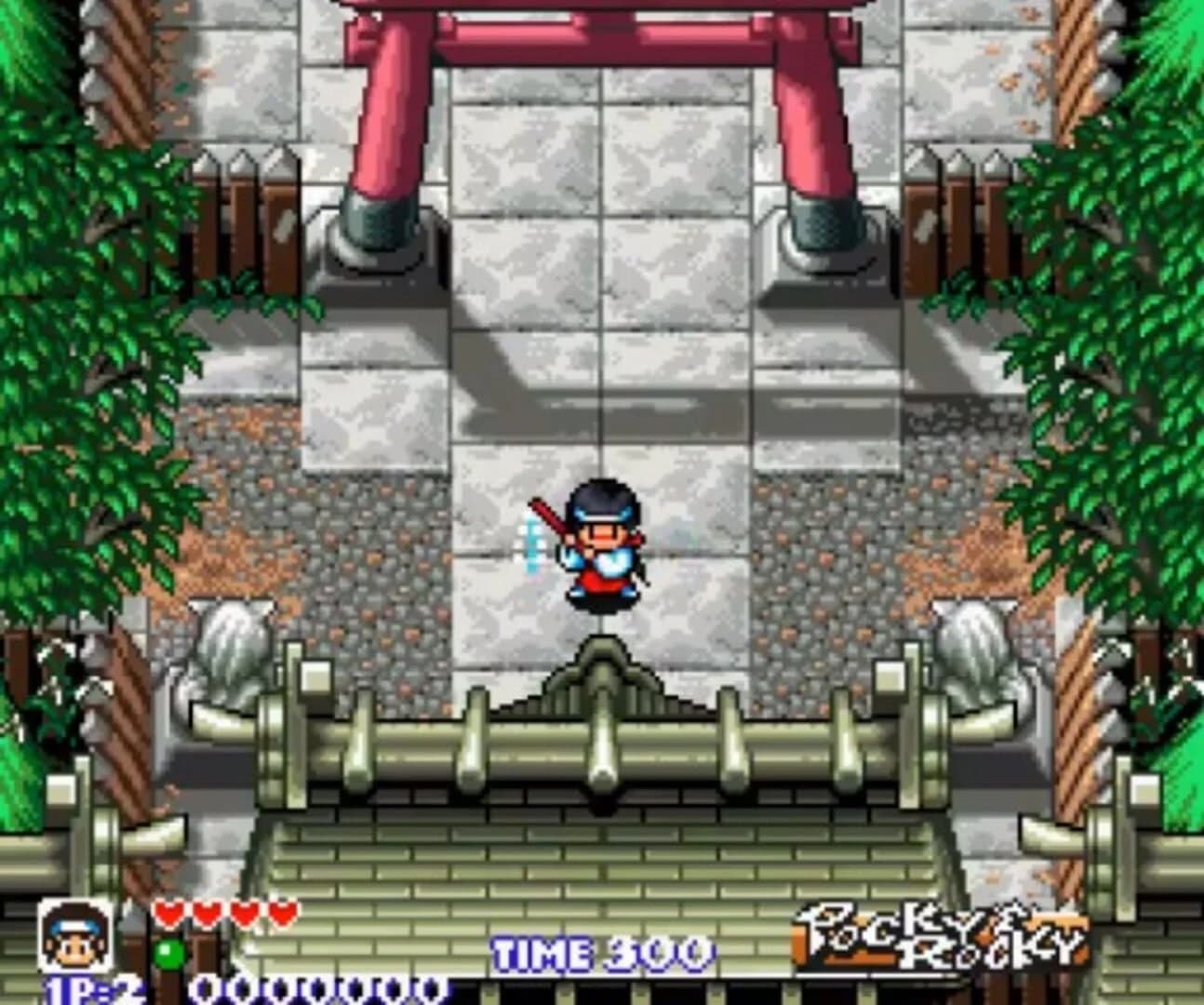 Pocky & Rocky screenshot 1