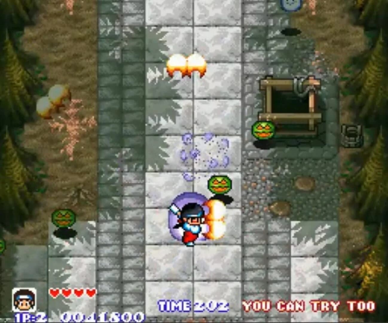 Pocky & Rocky screenshot 2