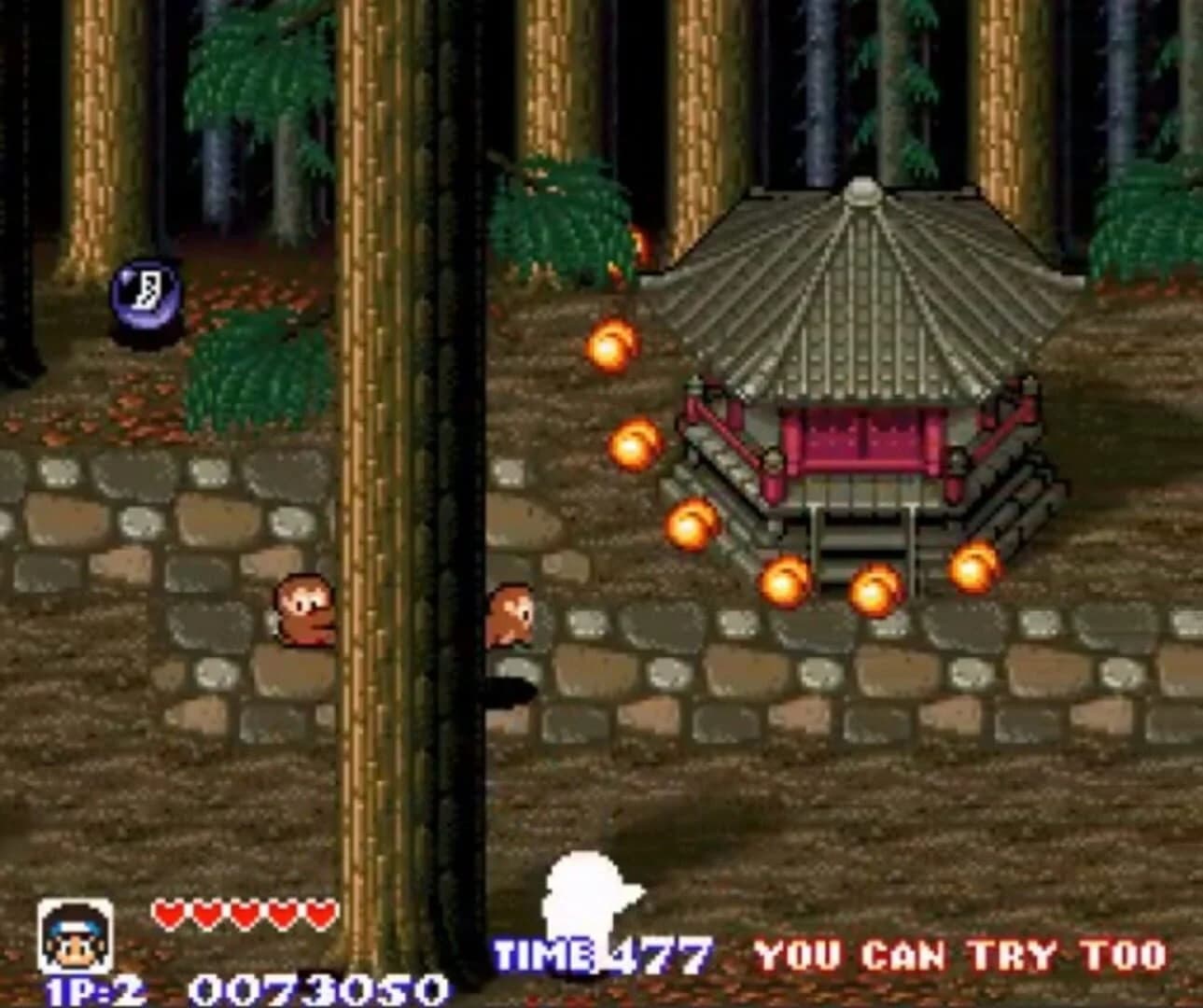 Pocky & Rocky screenshot 4