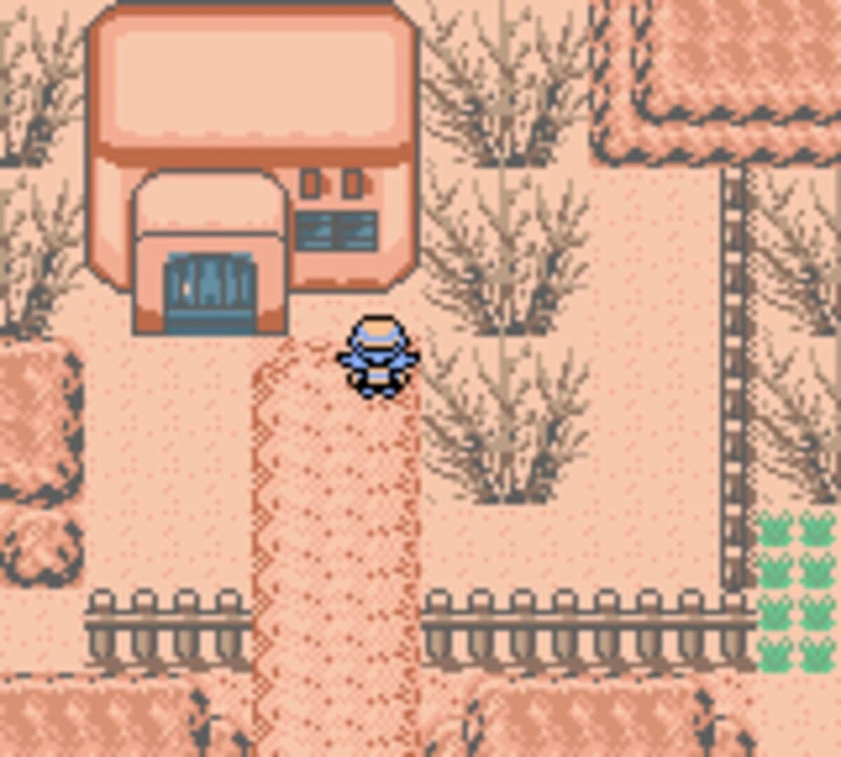 Pokémon Black & White 3: Genesis screenshot 1
