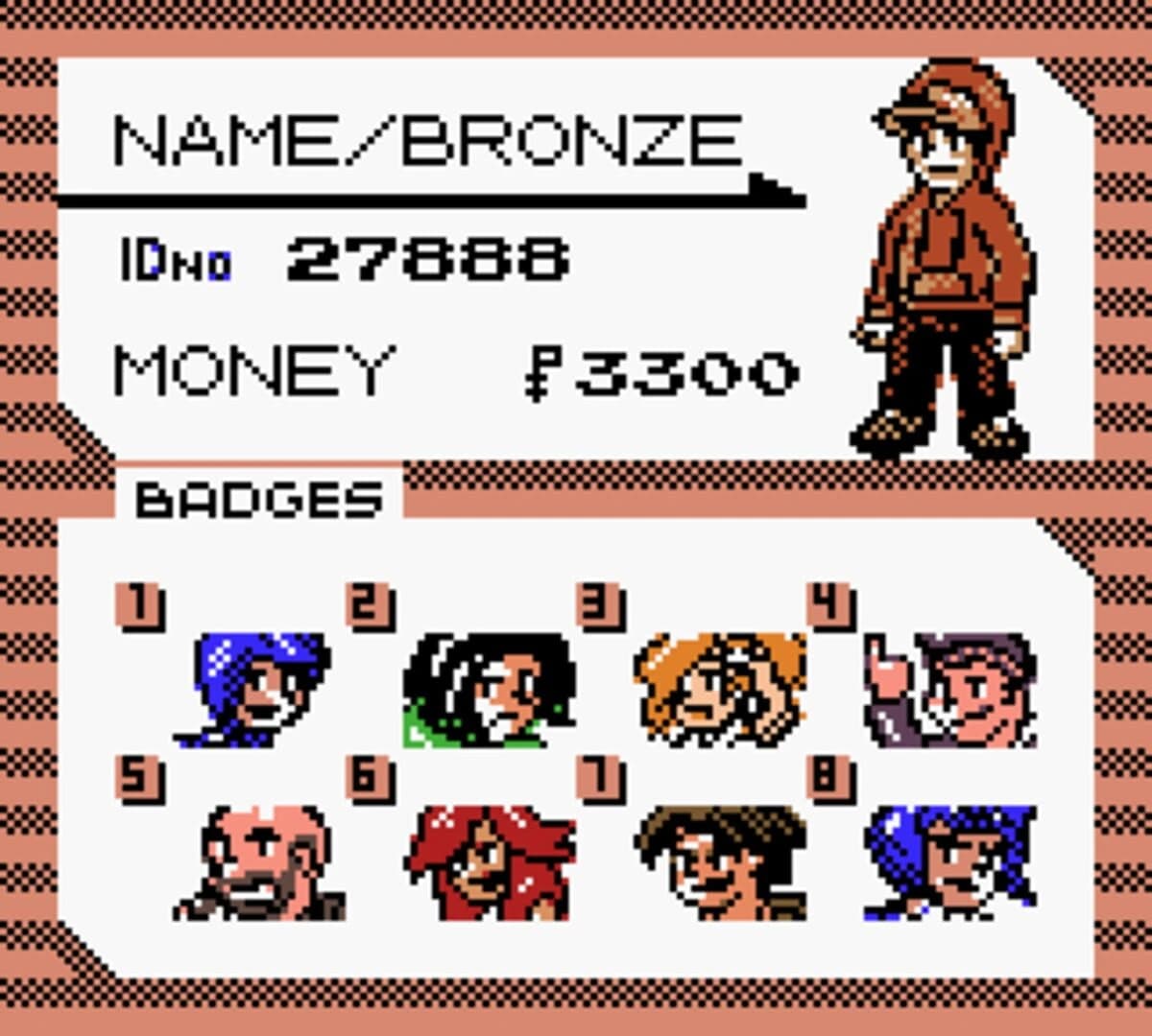 Pokémon Bronze screenshot 5