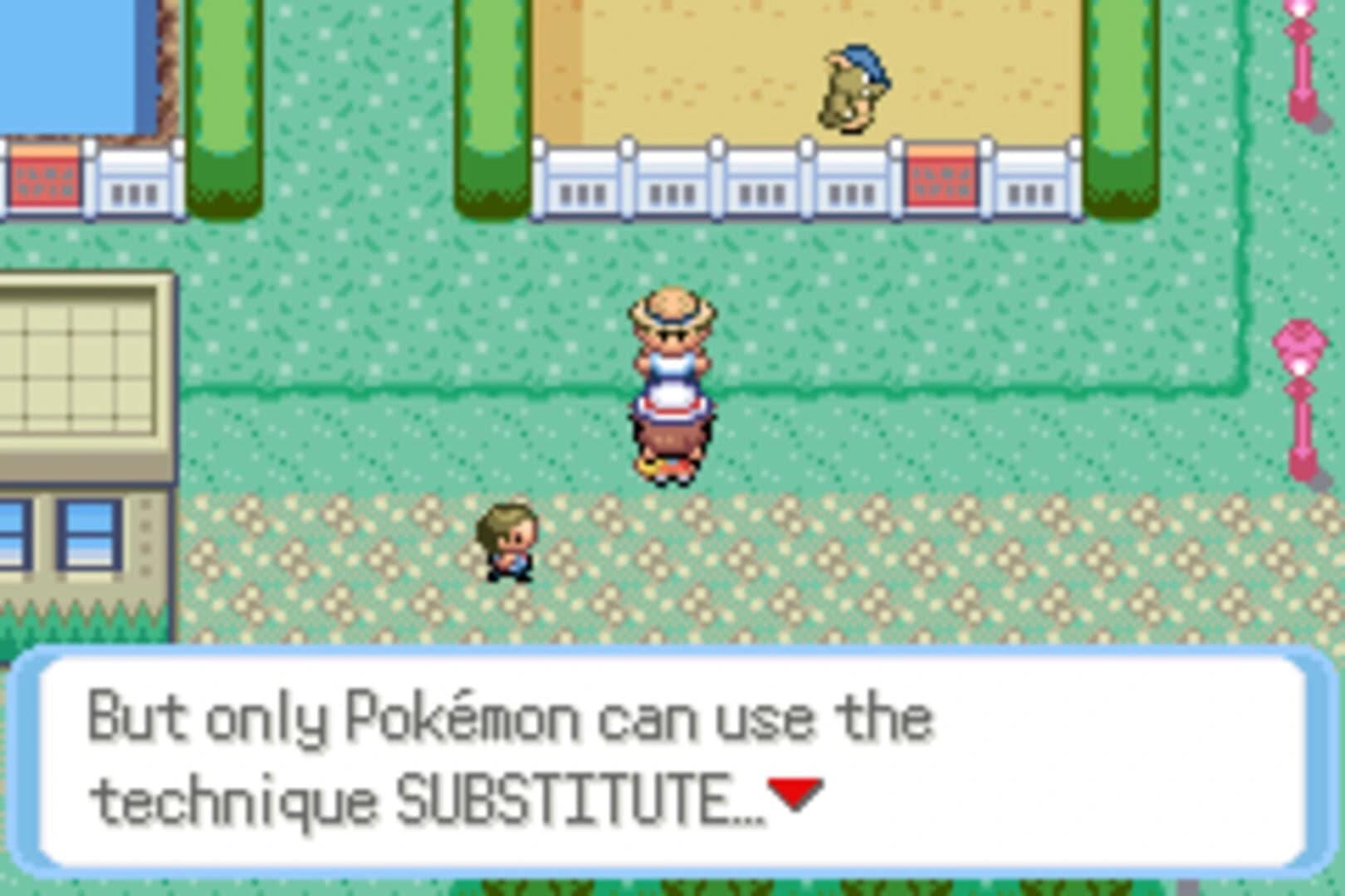 Pokémon DarkViolet Version screenshot 2