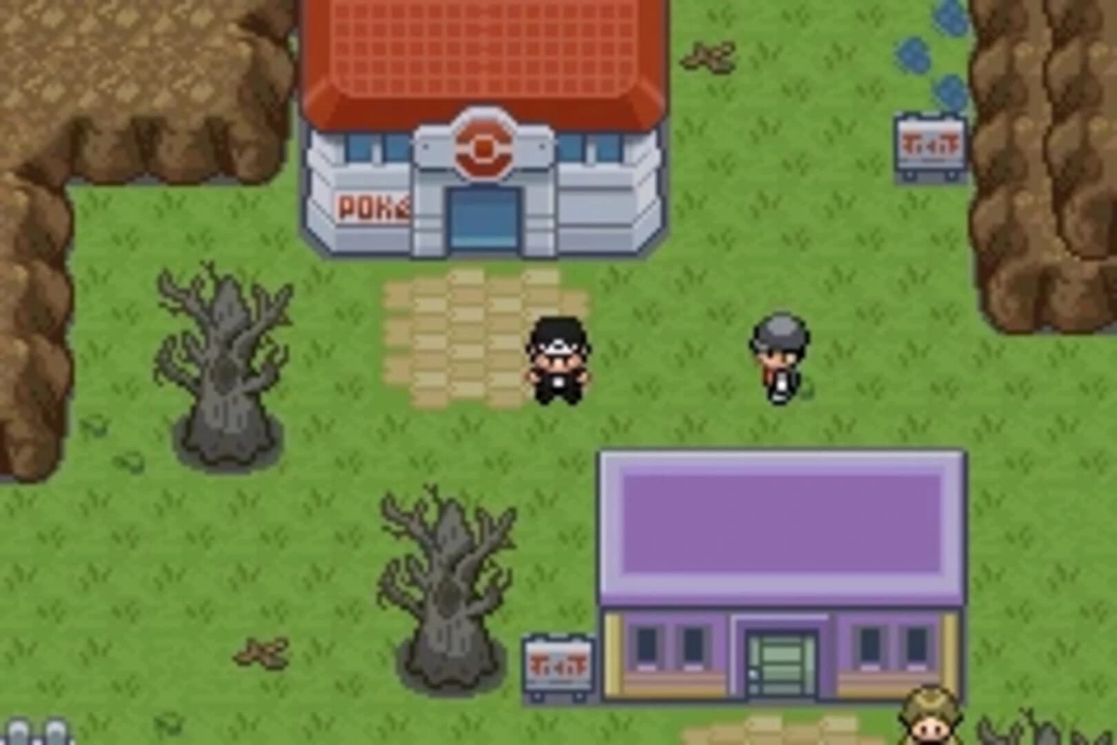 Pokémon Fire Black screenshot 2
