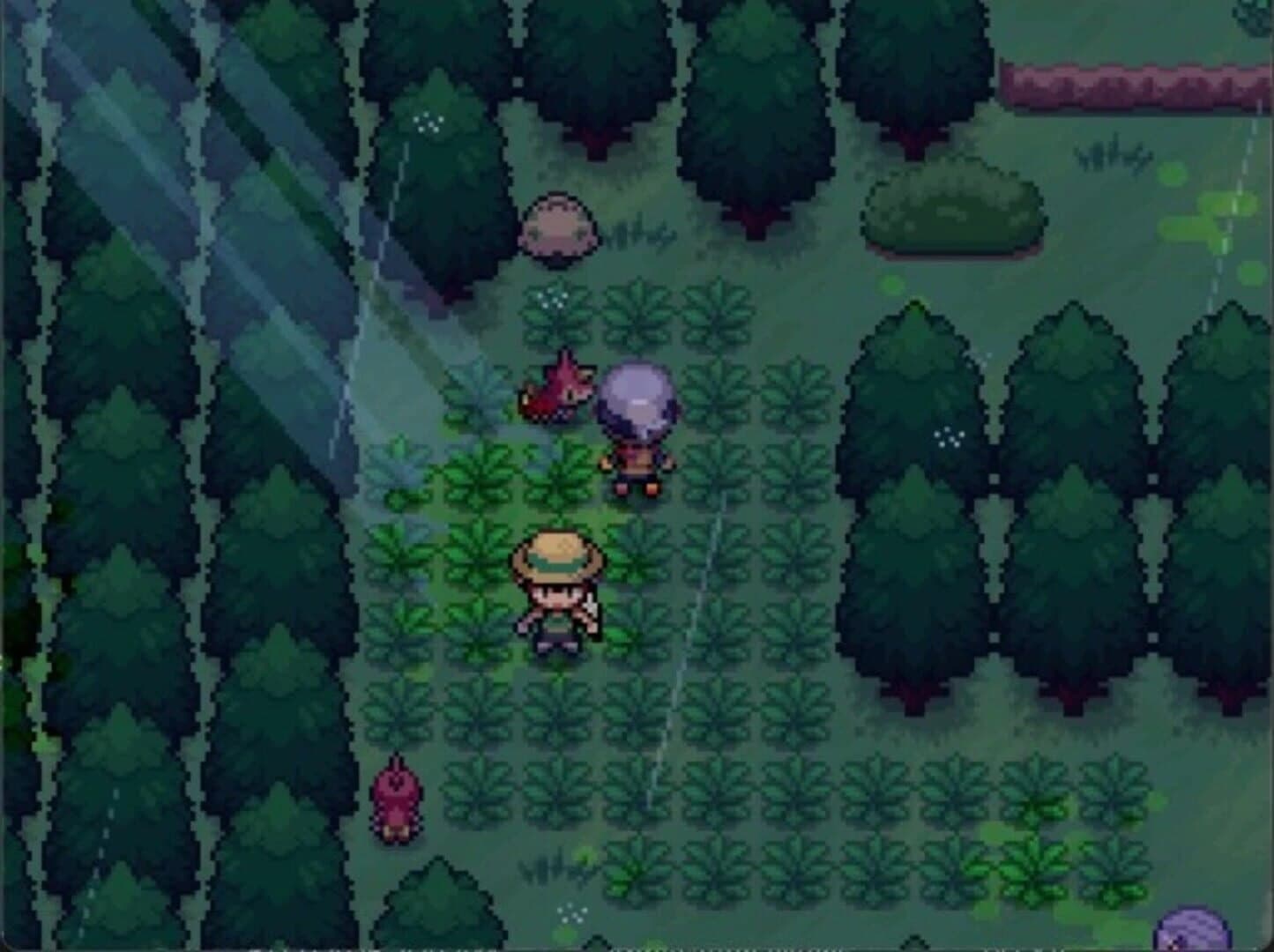 Pokémon Infinite Fusion 2: Hoenn screenshot 3