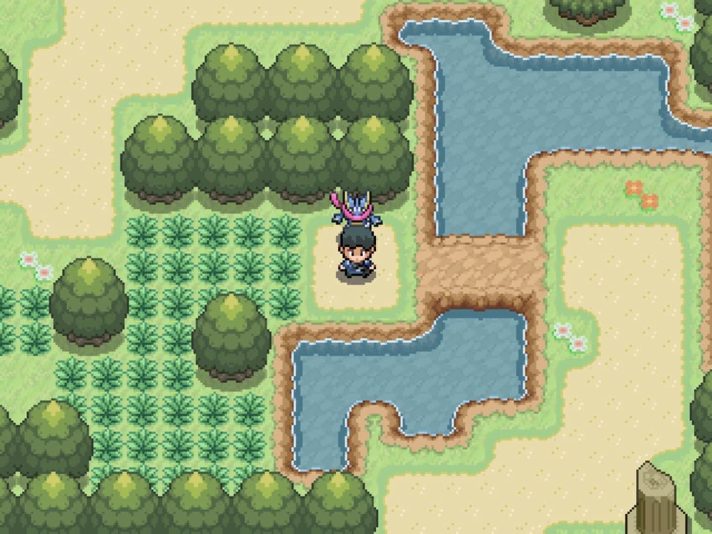 Pokémon Steam screenshot 2