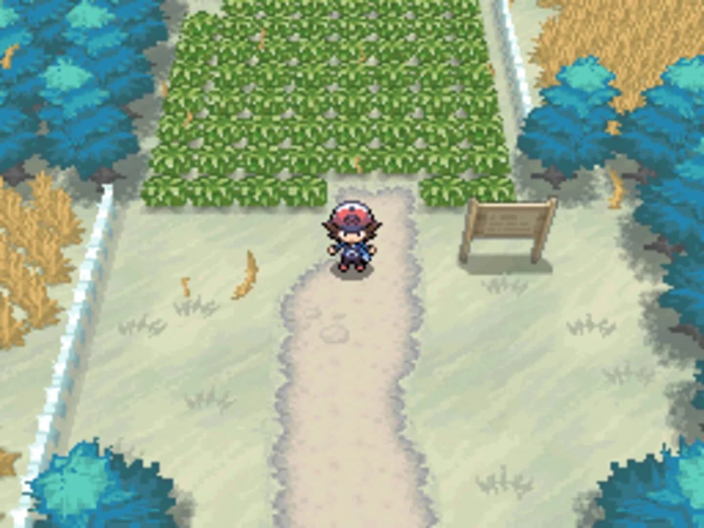 Pokémon Black Version screenshot 5