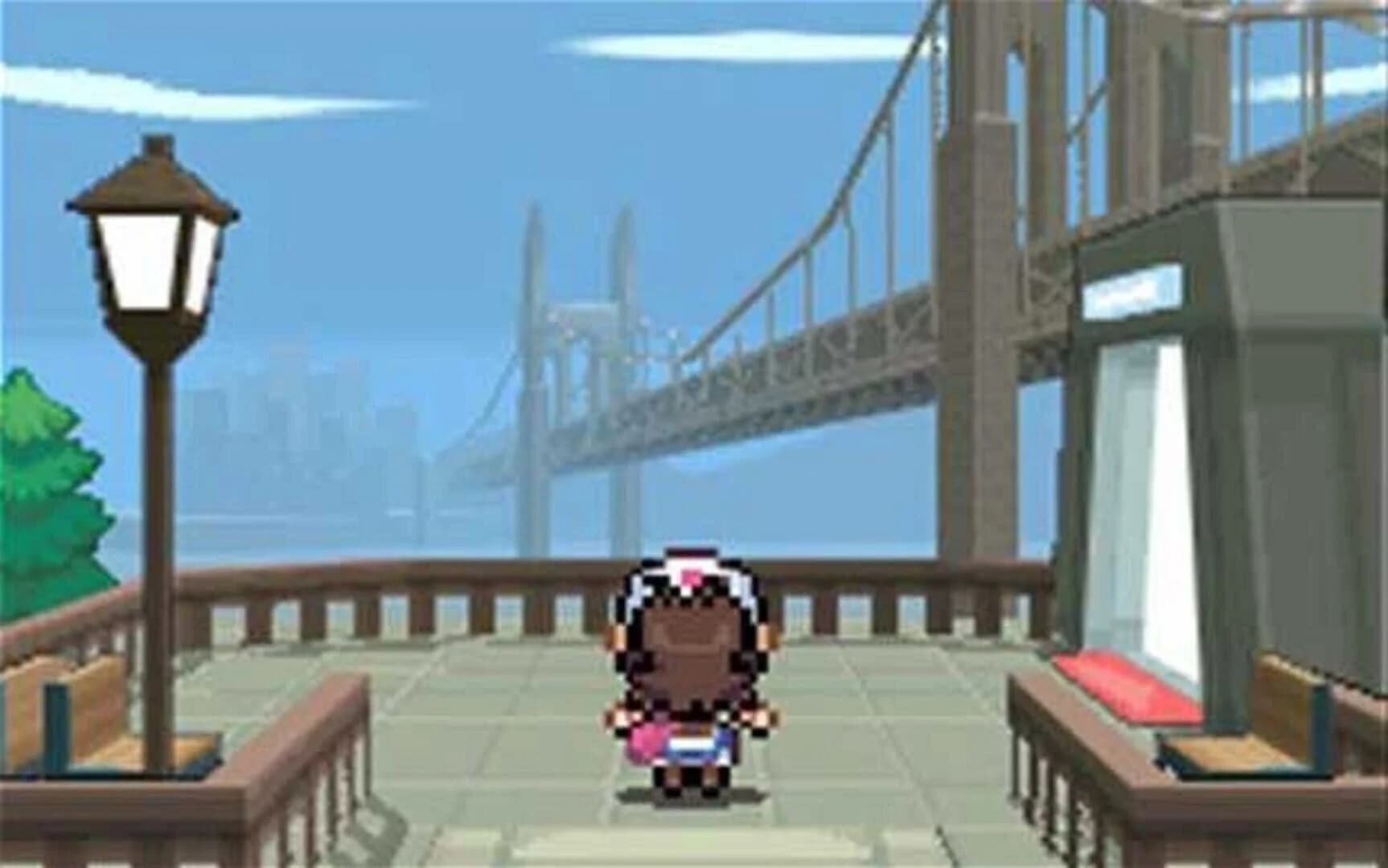 Pokémon Black Version screenshot 3