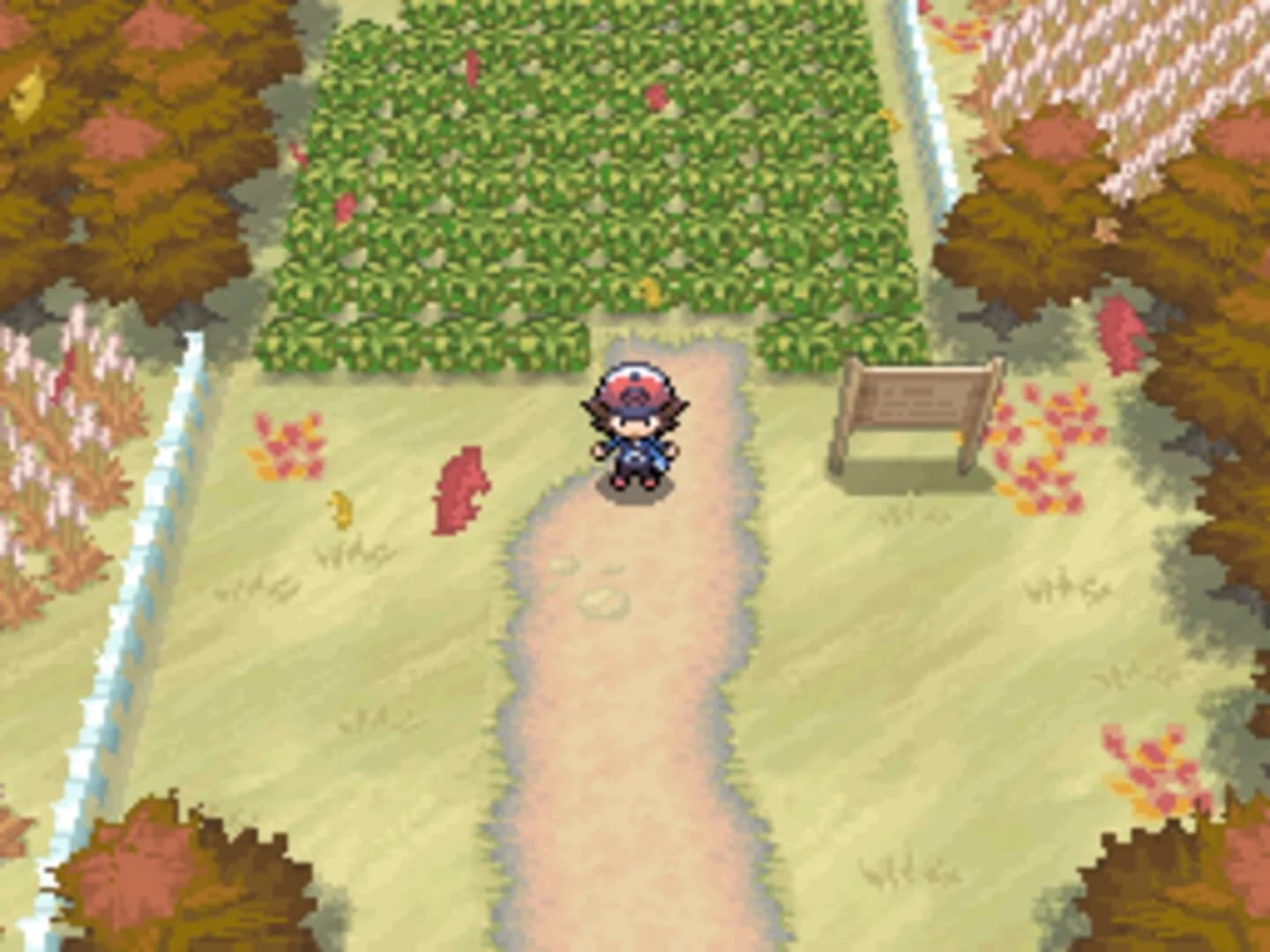 Pokémon Black Version screenshot 1