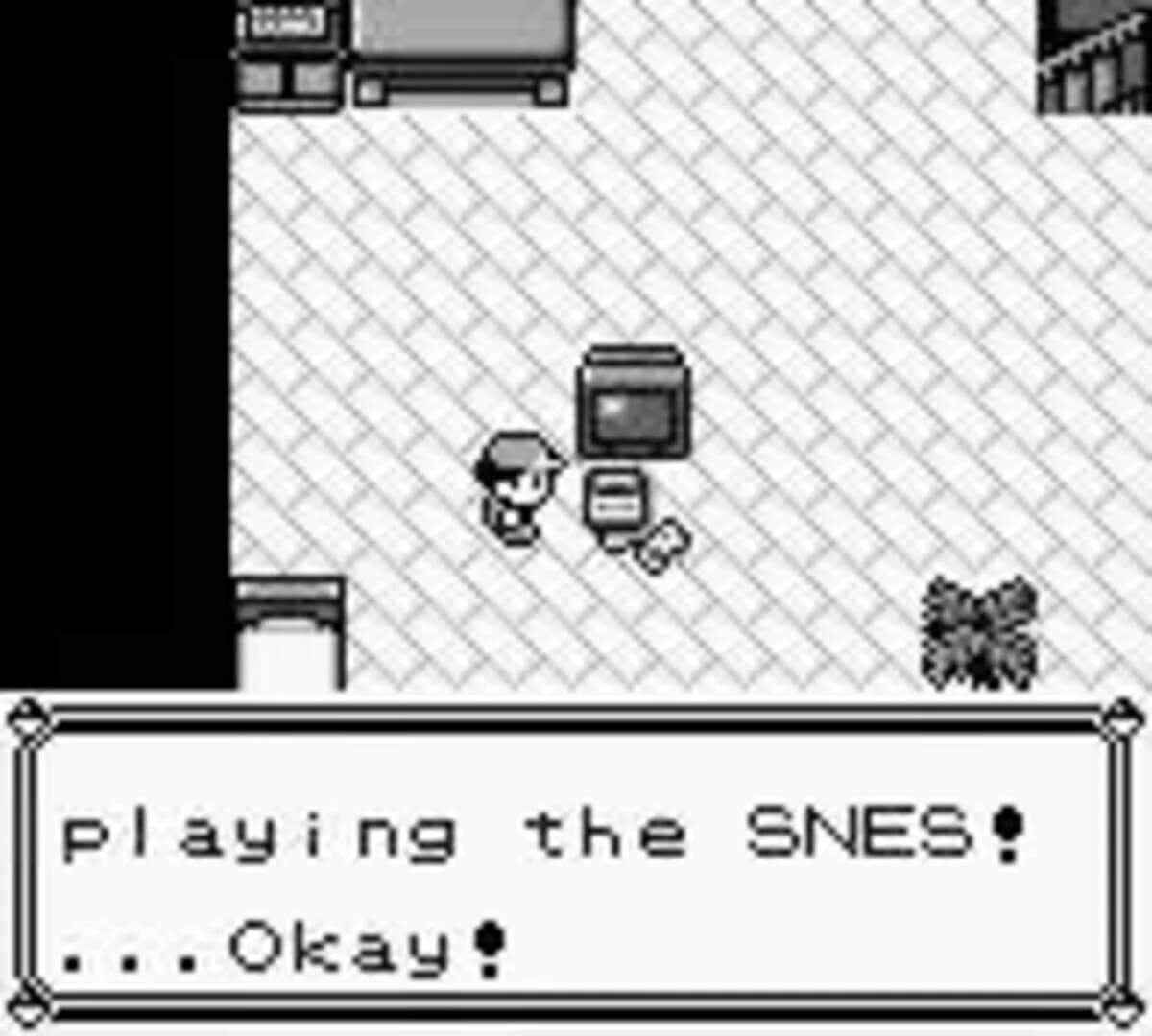 Pokémon Blue Version screenshot 1