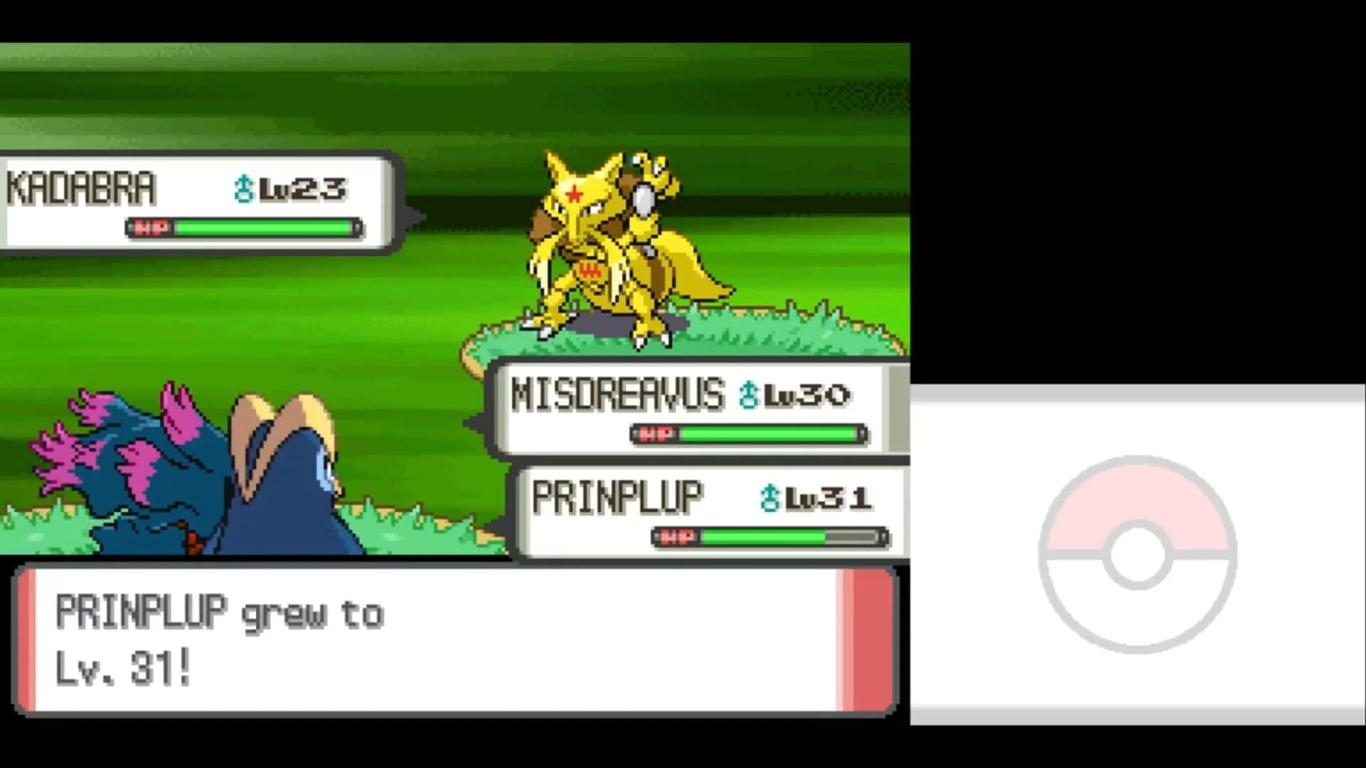 Pokémon Pearl Version screenshot 4
