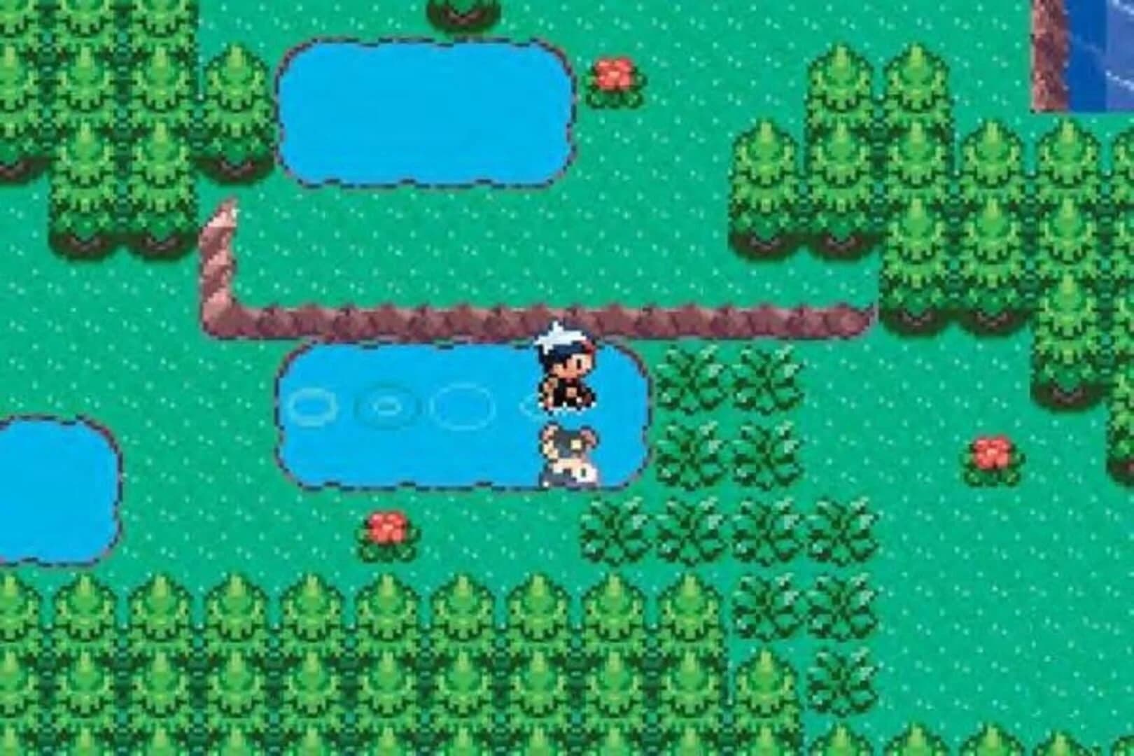 Pokémon Sapphire Version screenshot 1