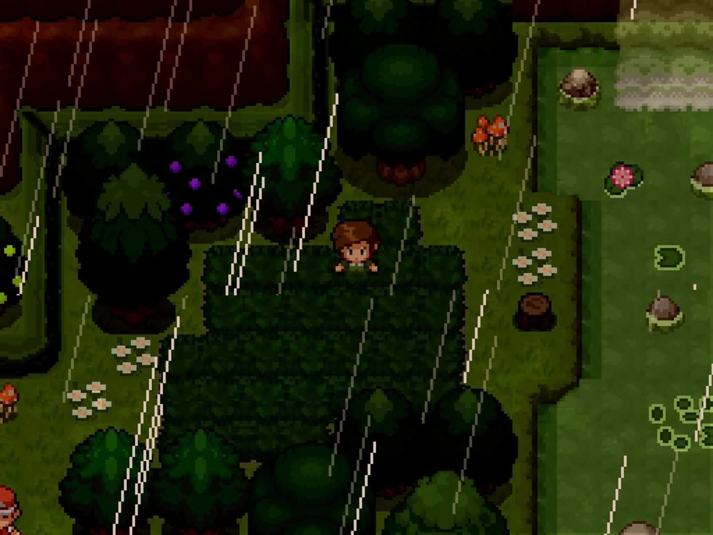 Pokémon Uranium screenshot 2