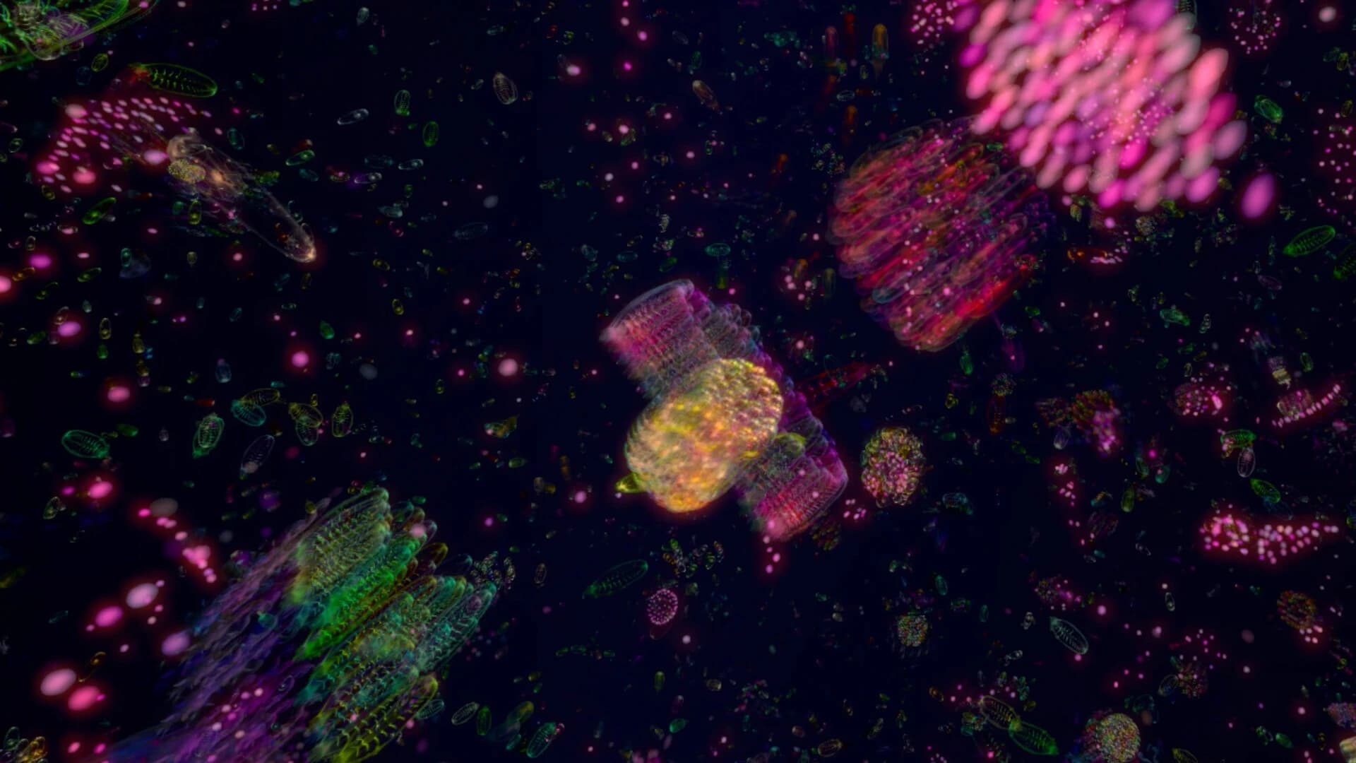 Primordial Soup screenshot 5