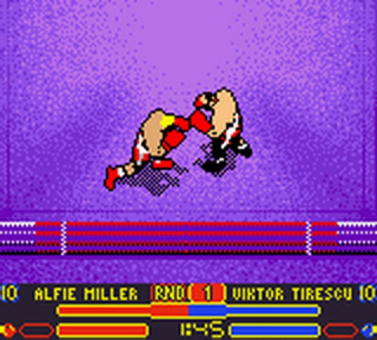Prince Naseem Boxing screenshot 1