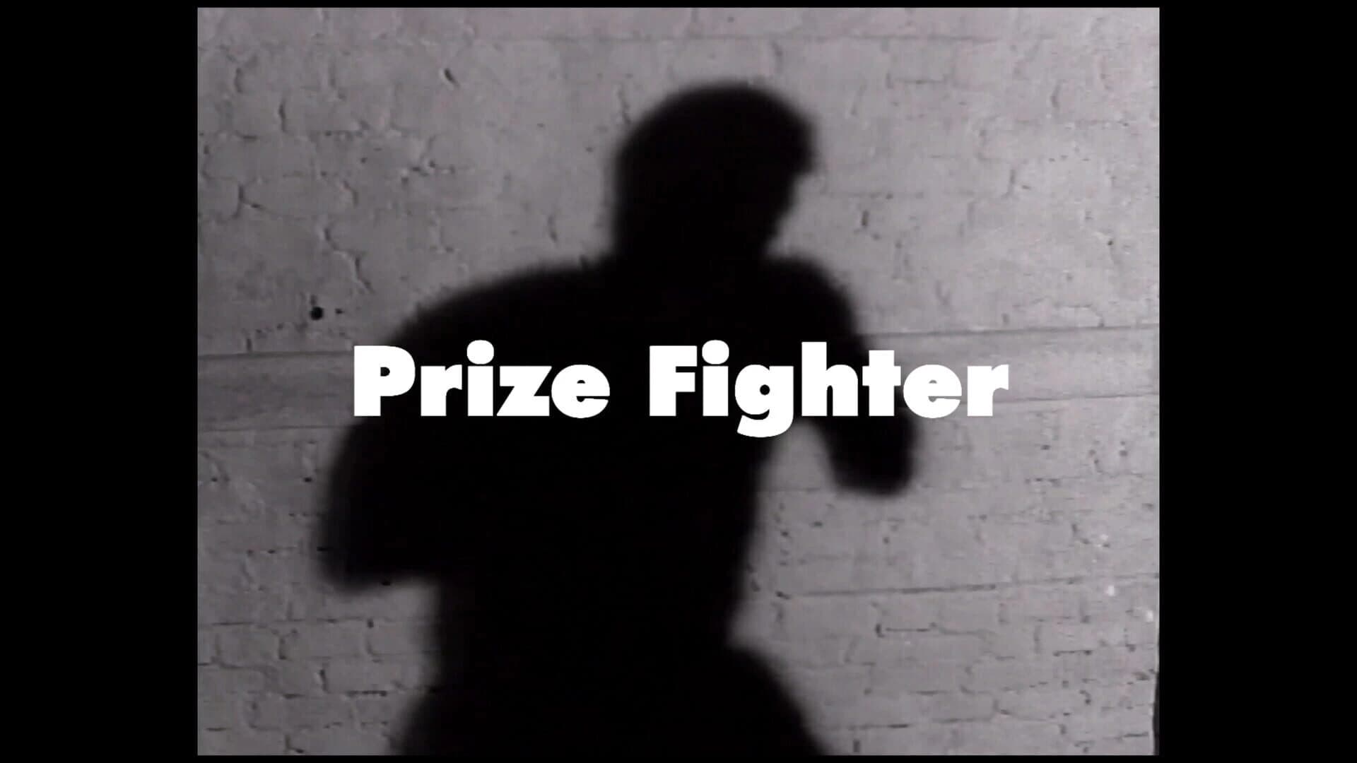 Prize Fighter: Heavyweight Edition screenshot 5