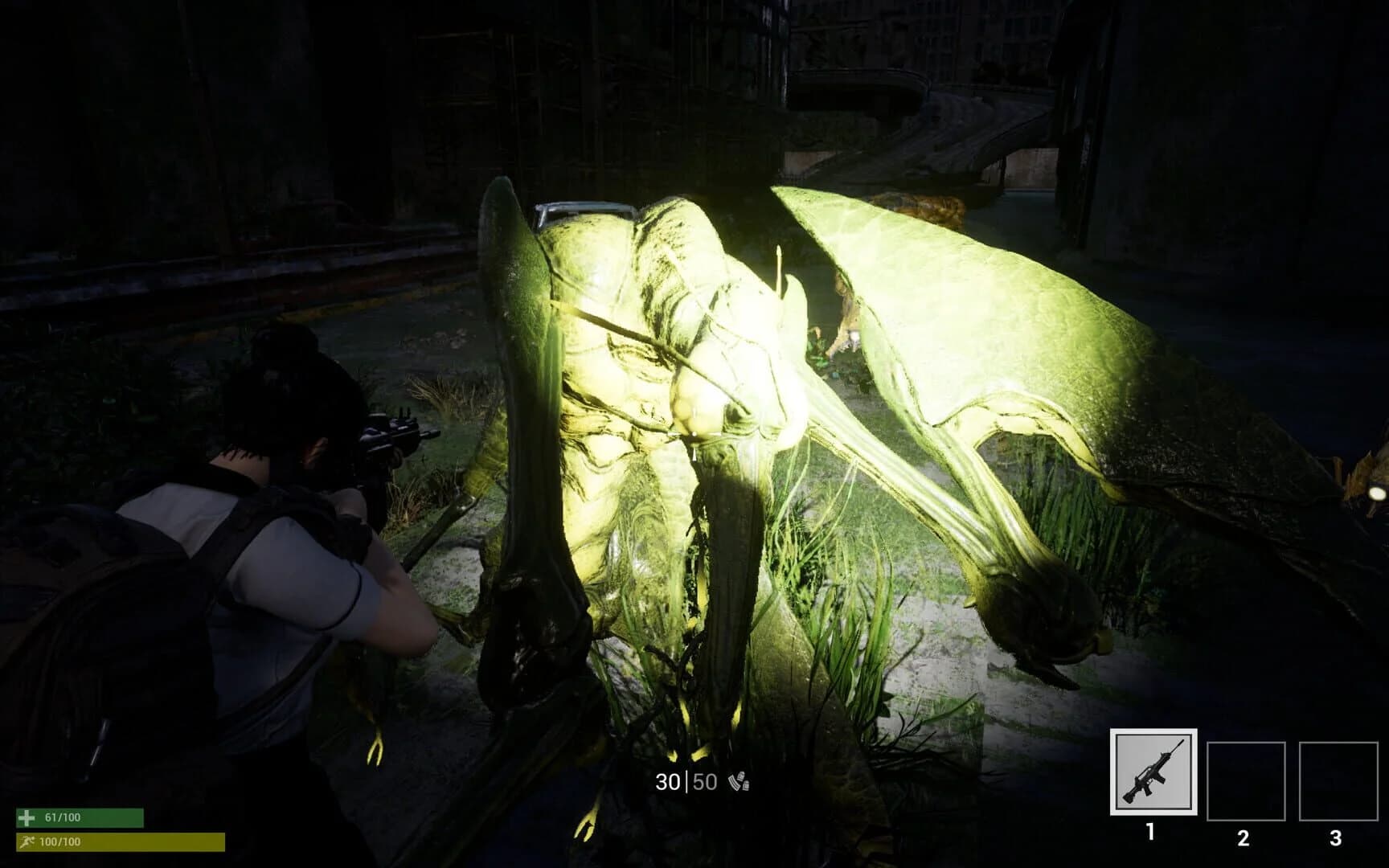 Project: Debug screenshot 1