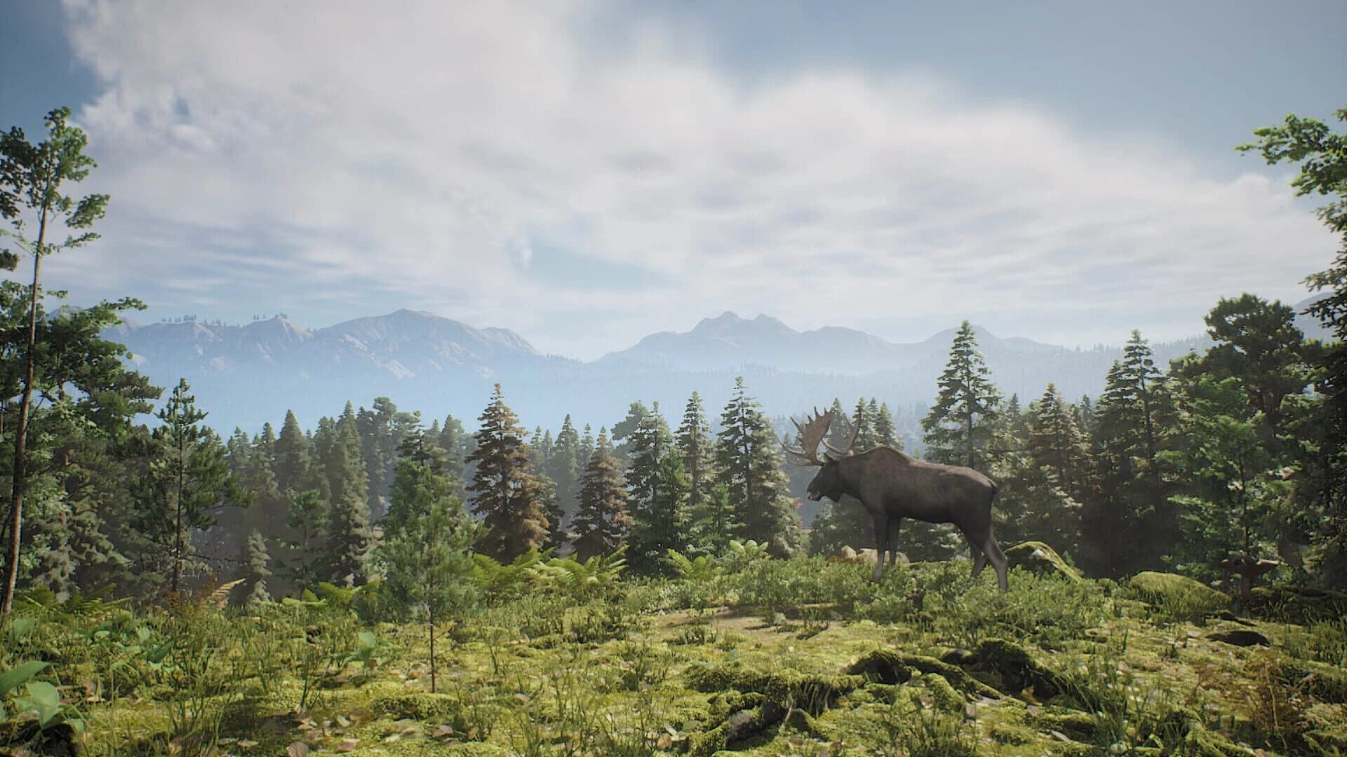 Project Hunt screenshot 2