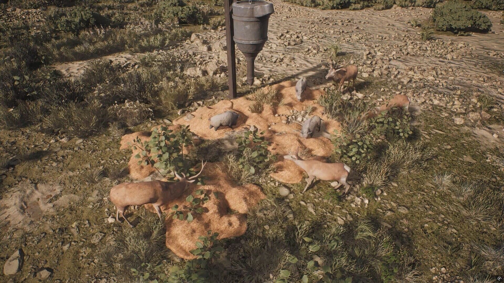 Project Hunt: Lone Star Hunting Ranch screenshot 3