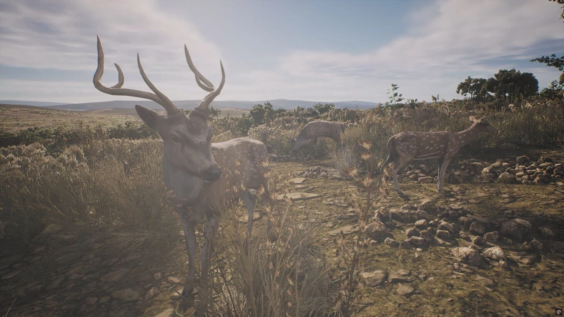 Project Hunt: Lone Star Hunting Ranch screenshot 2