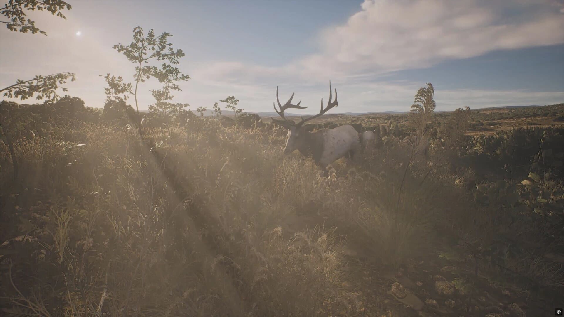 Project Hunt: Lone Star Hunting Ranch screenshot 1