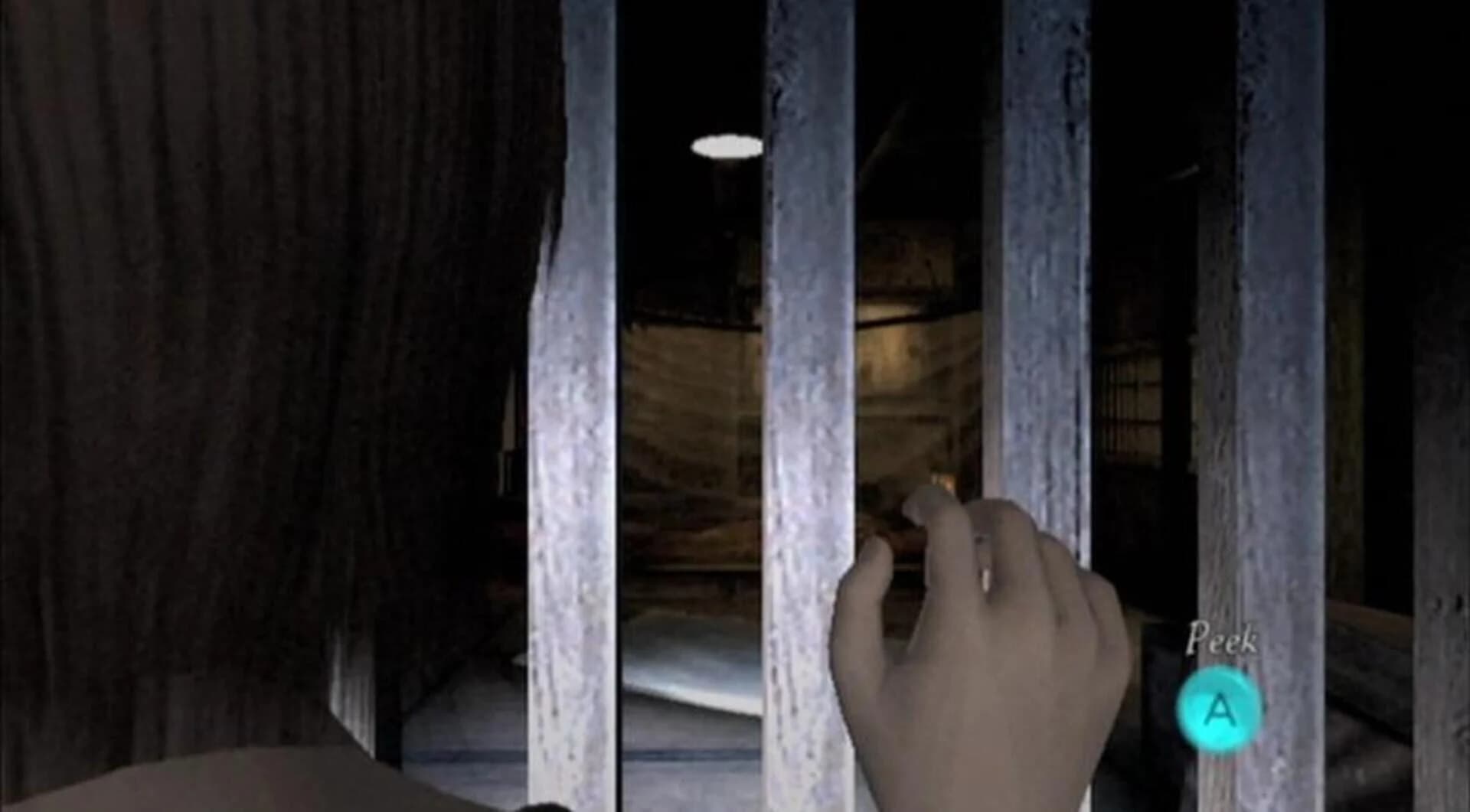 Project Zero 2: Wii Edition screenshot 4