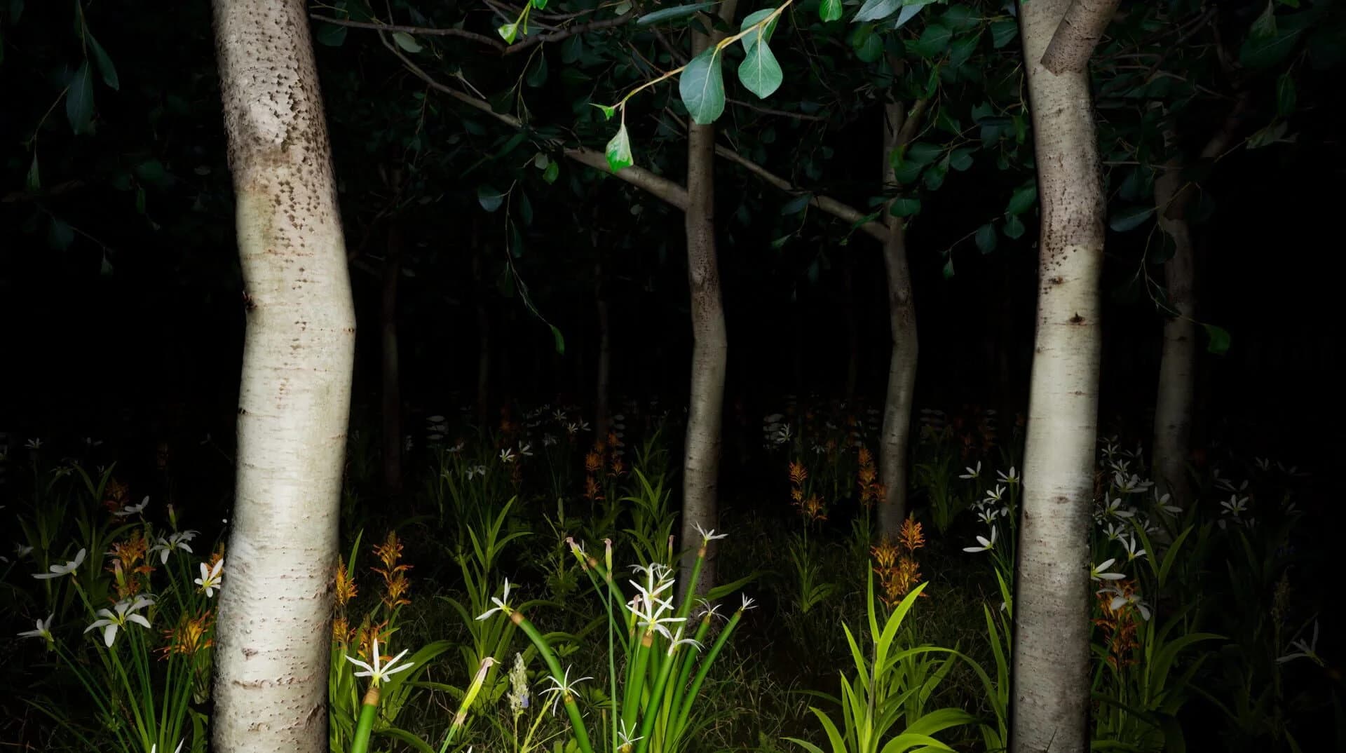 Prophecy of the Nun screenshot 4