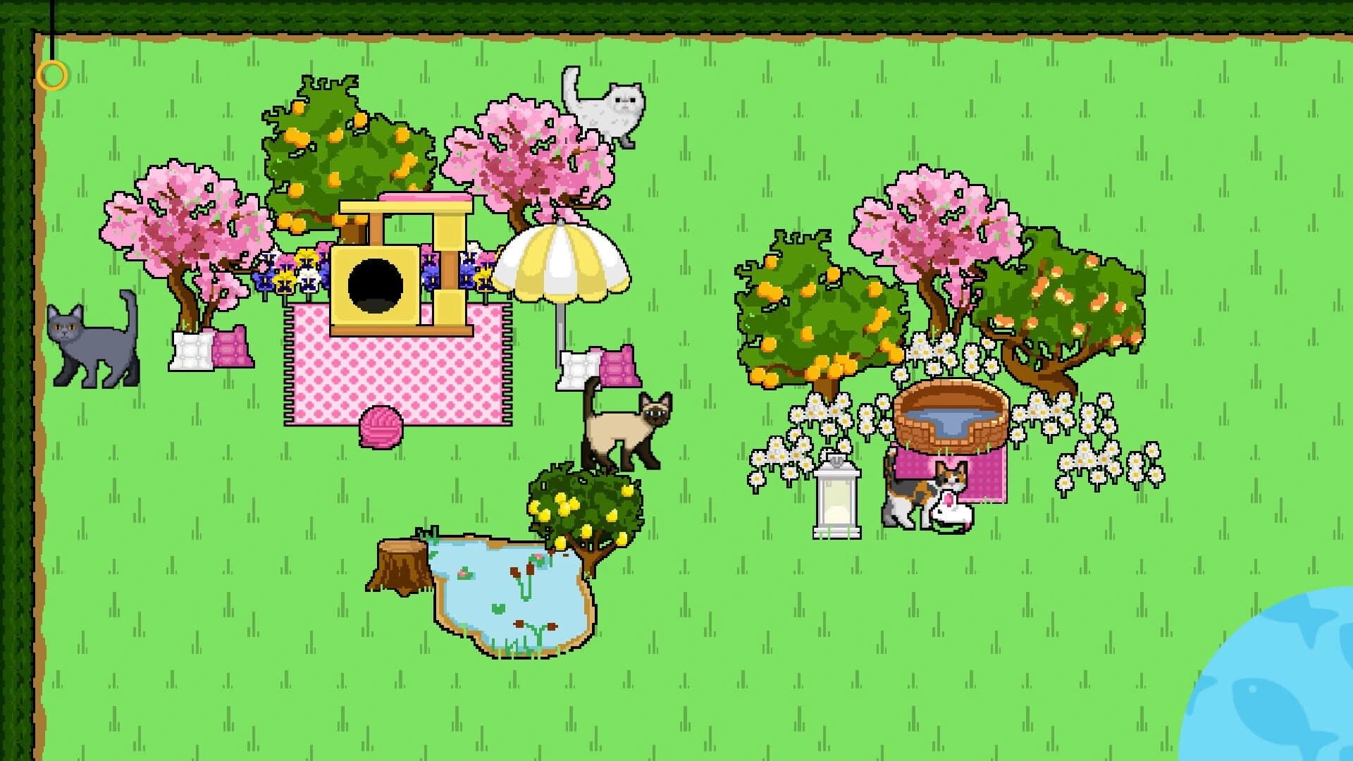 Puppy Cross: Kitty Cross screenshot 2