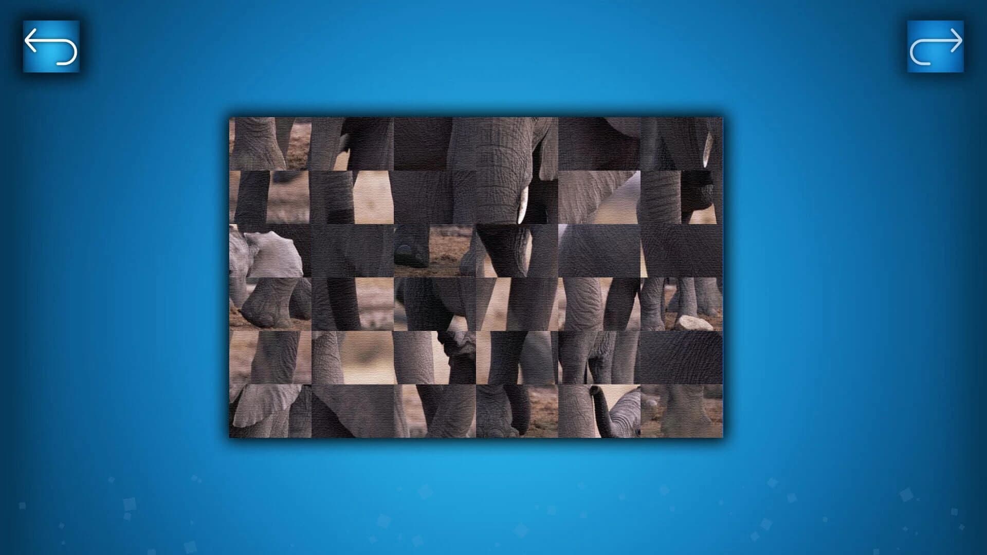 Puzzle: Animals screenshot 5