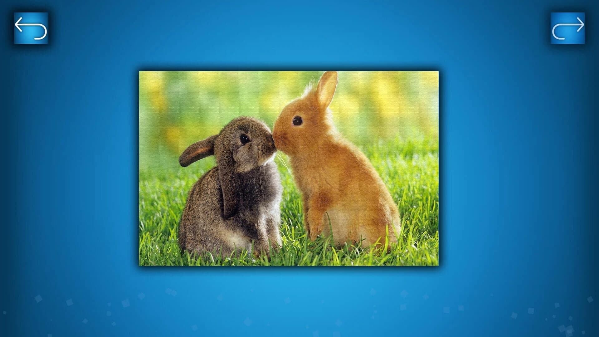 Puzzle: Animals screenshot 1