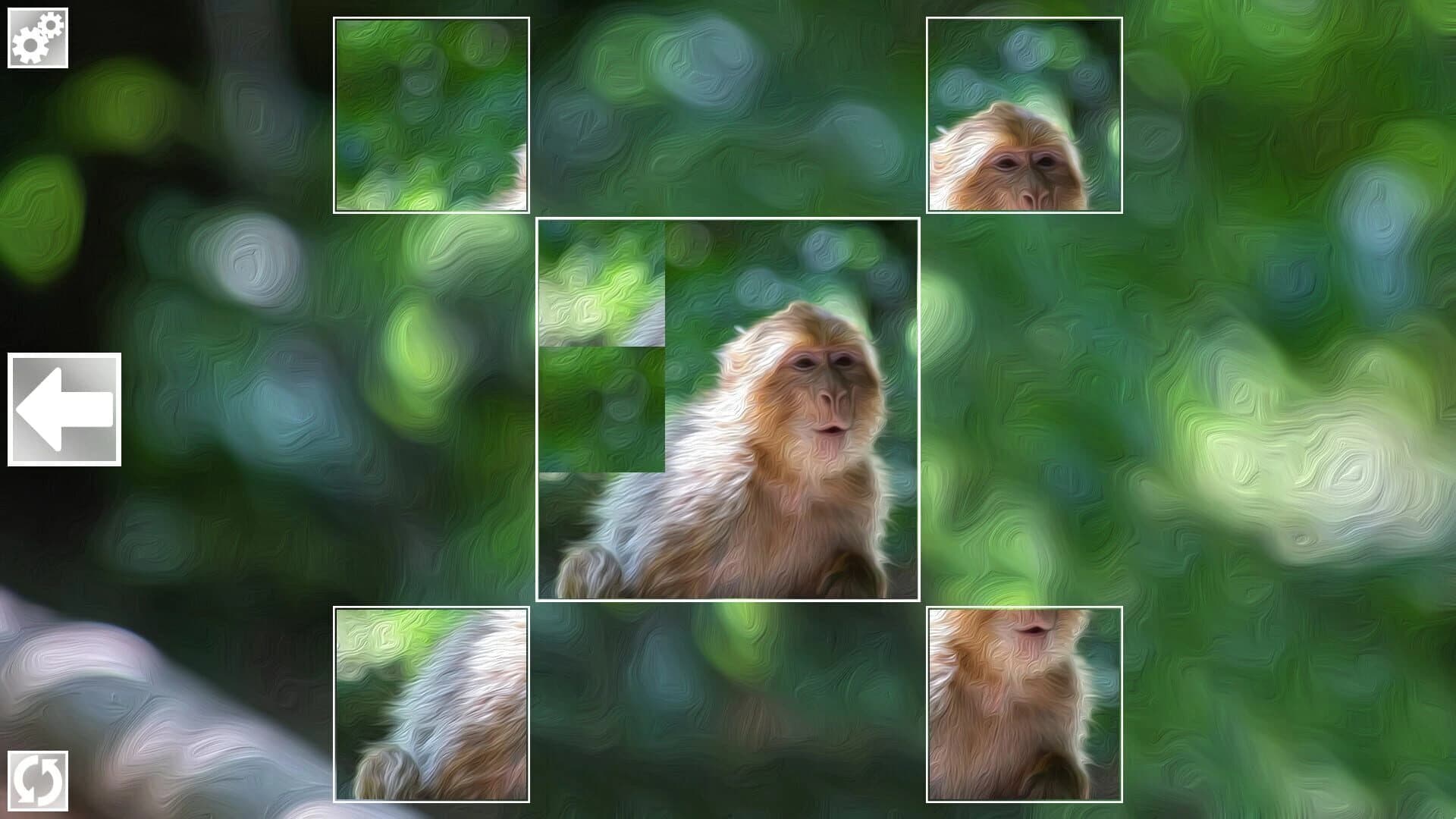 Puzzle Art: Primates screenshot 4