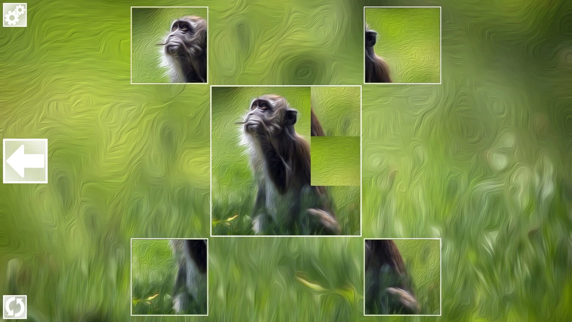 Puzzle Art: Primates screenshot 3