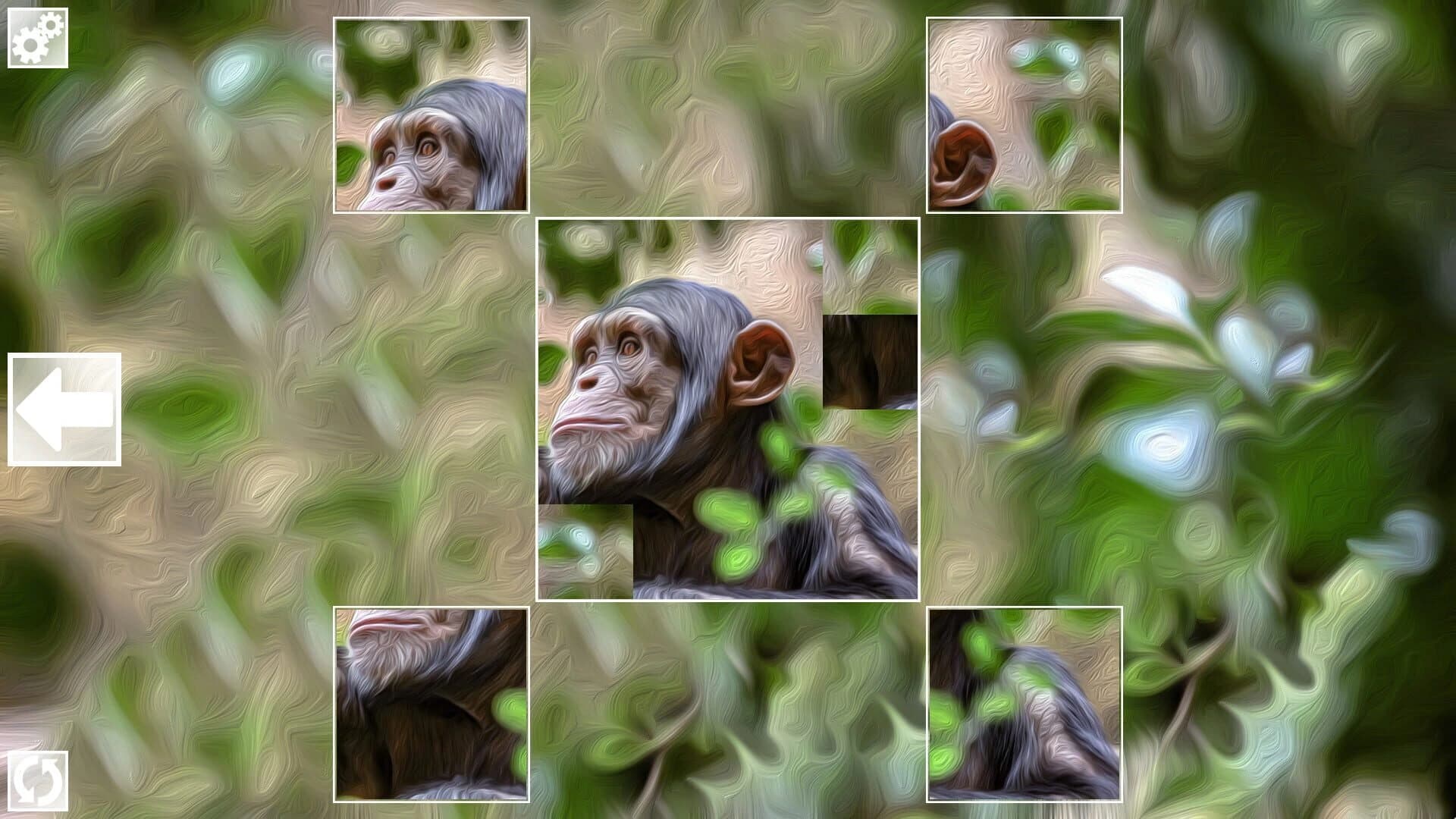 Puzzle Art: Primates screenshot 5