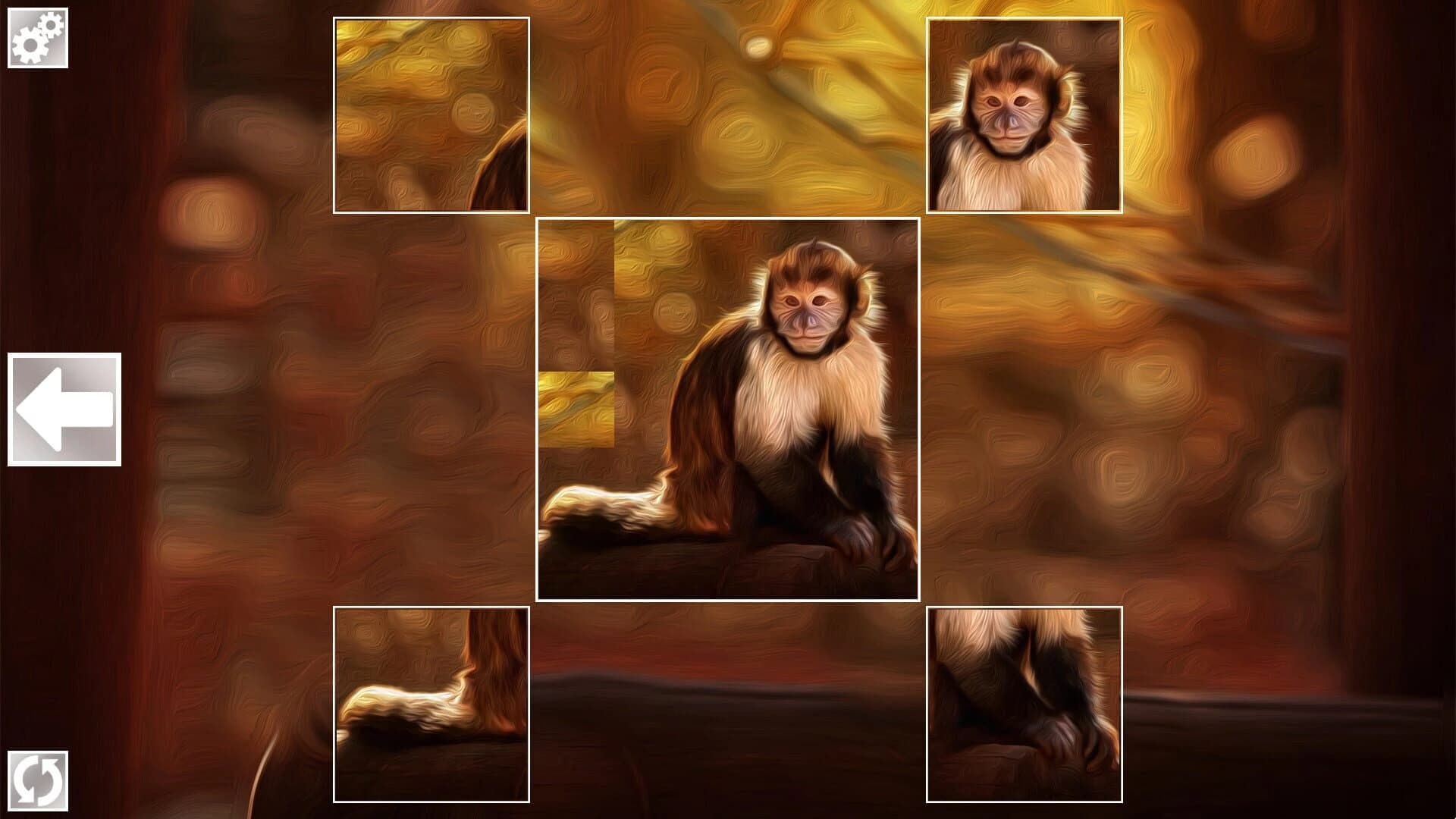 Puzzle Art: Primates screenshot 2