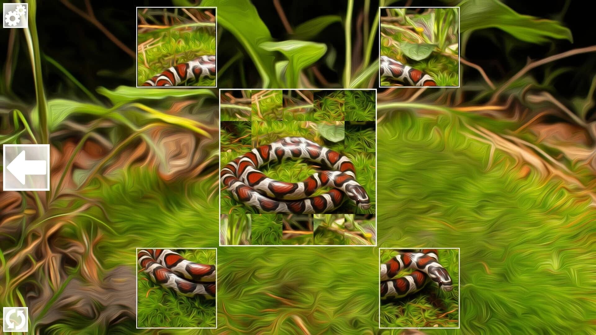 Puzzle Art: Snakes screenshot 5