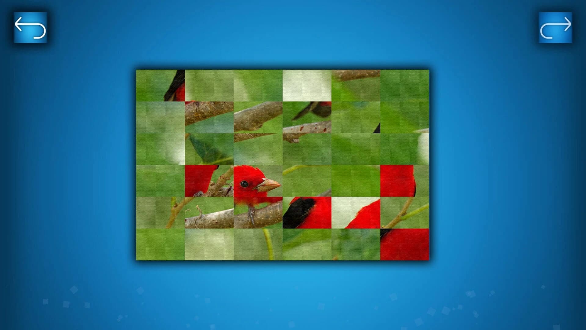 Puzzle: Birds screenshot 1