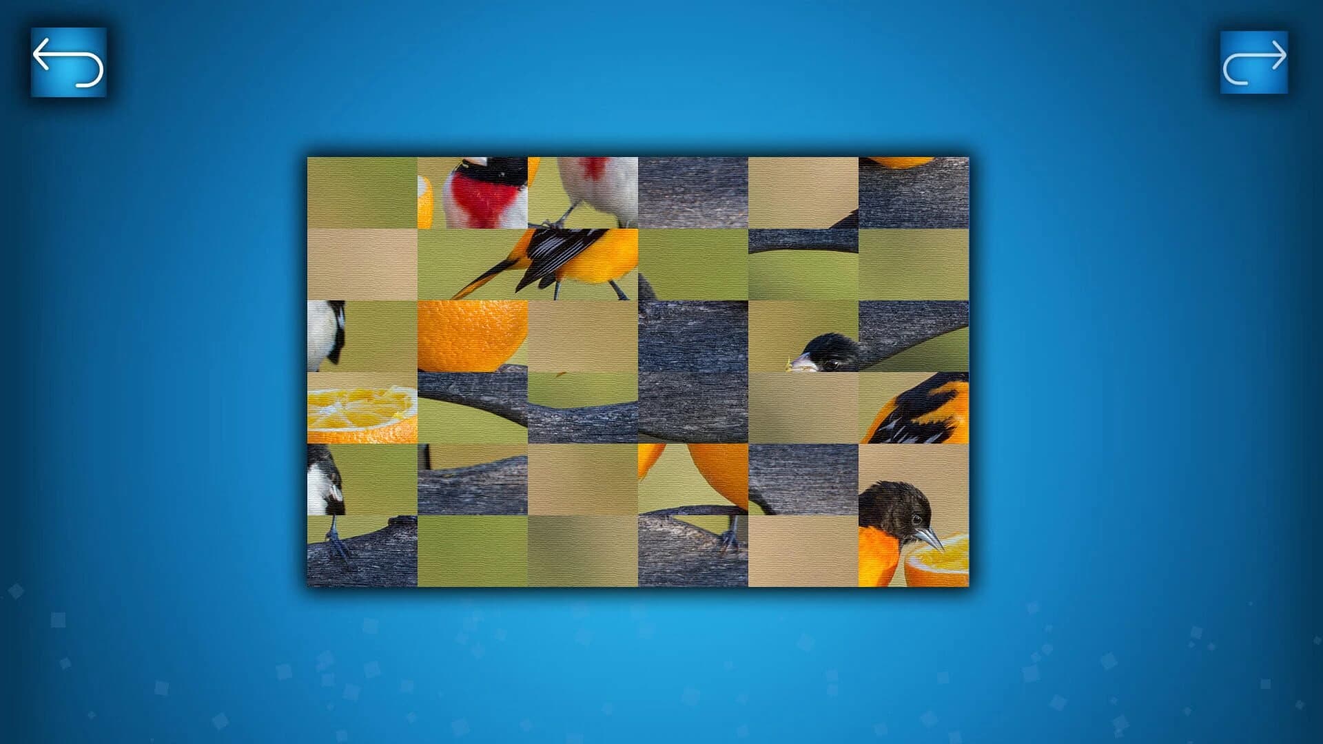 Puzzle: Birds screenshot 5