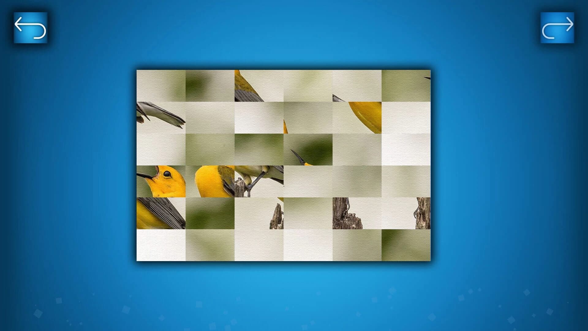 Puzzle: Birds screenshot 2