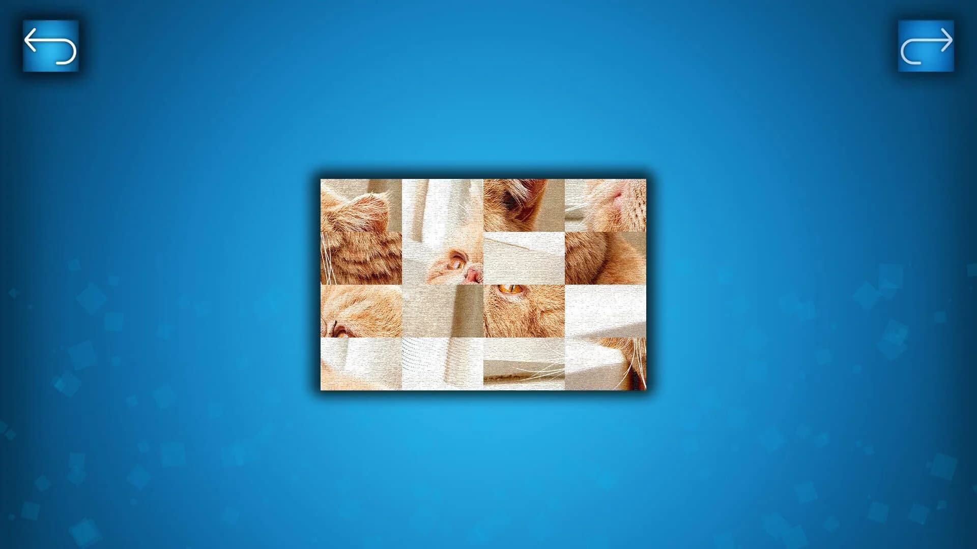 Puzzle: Cats & Dogs screenshot 3