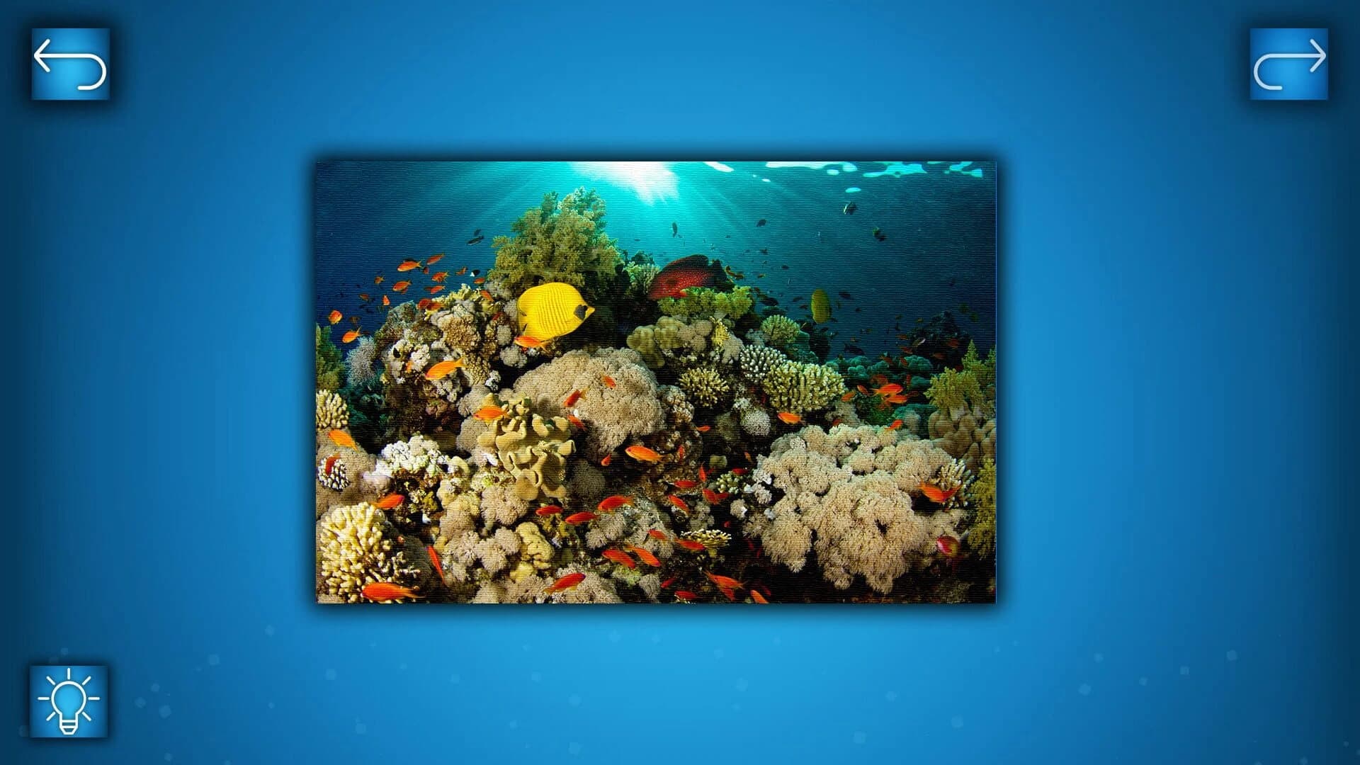 Puzzle: Ocean screenshot 1