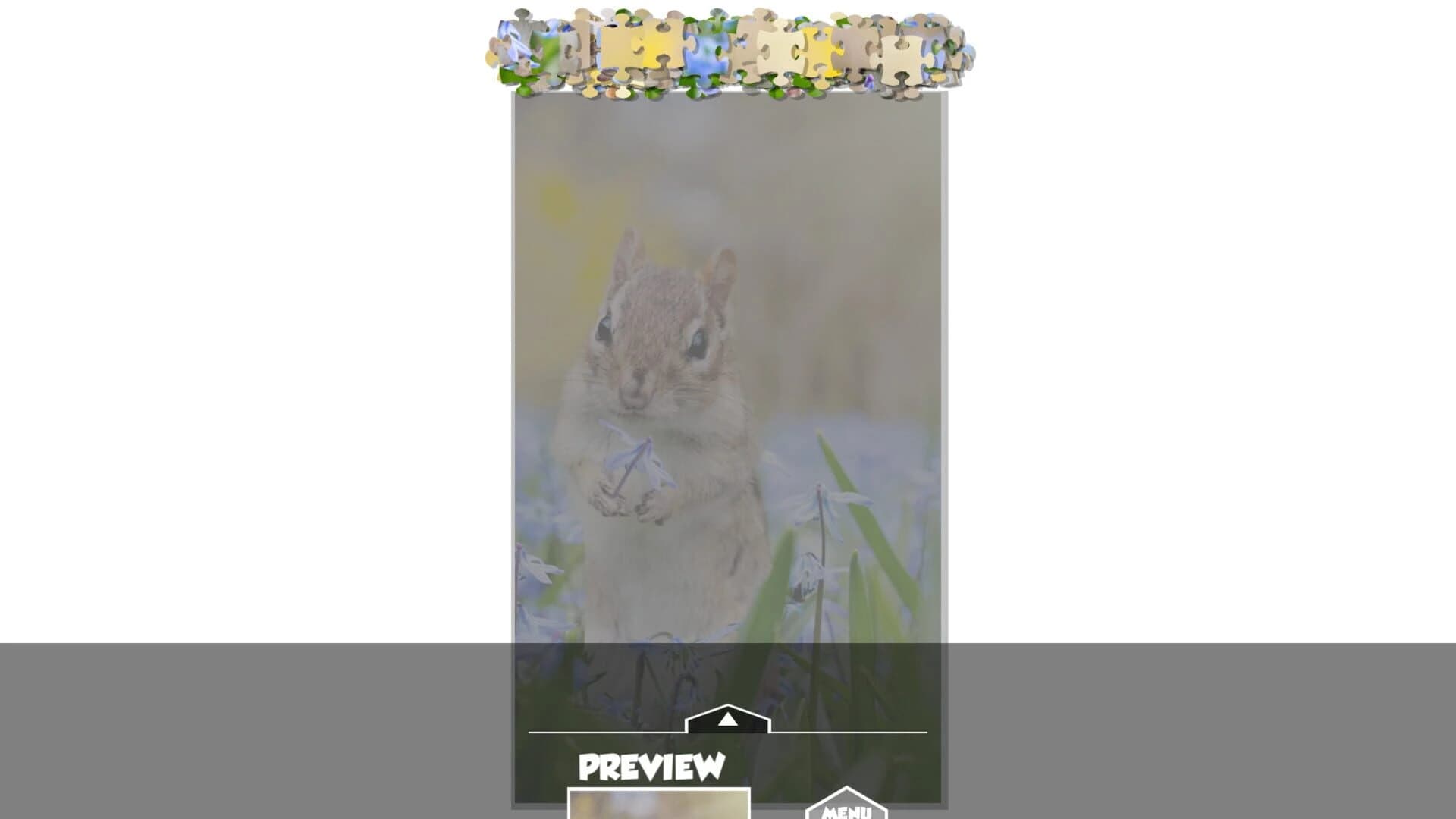 Puzzlection screenshot 5