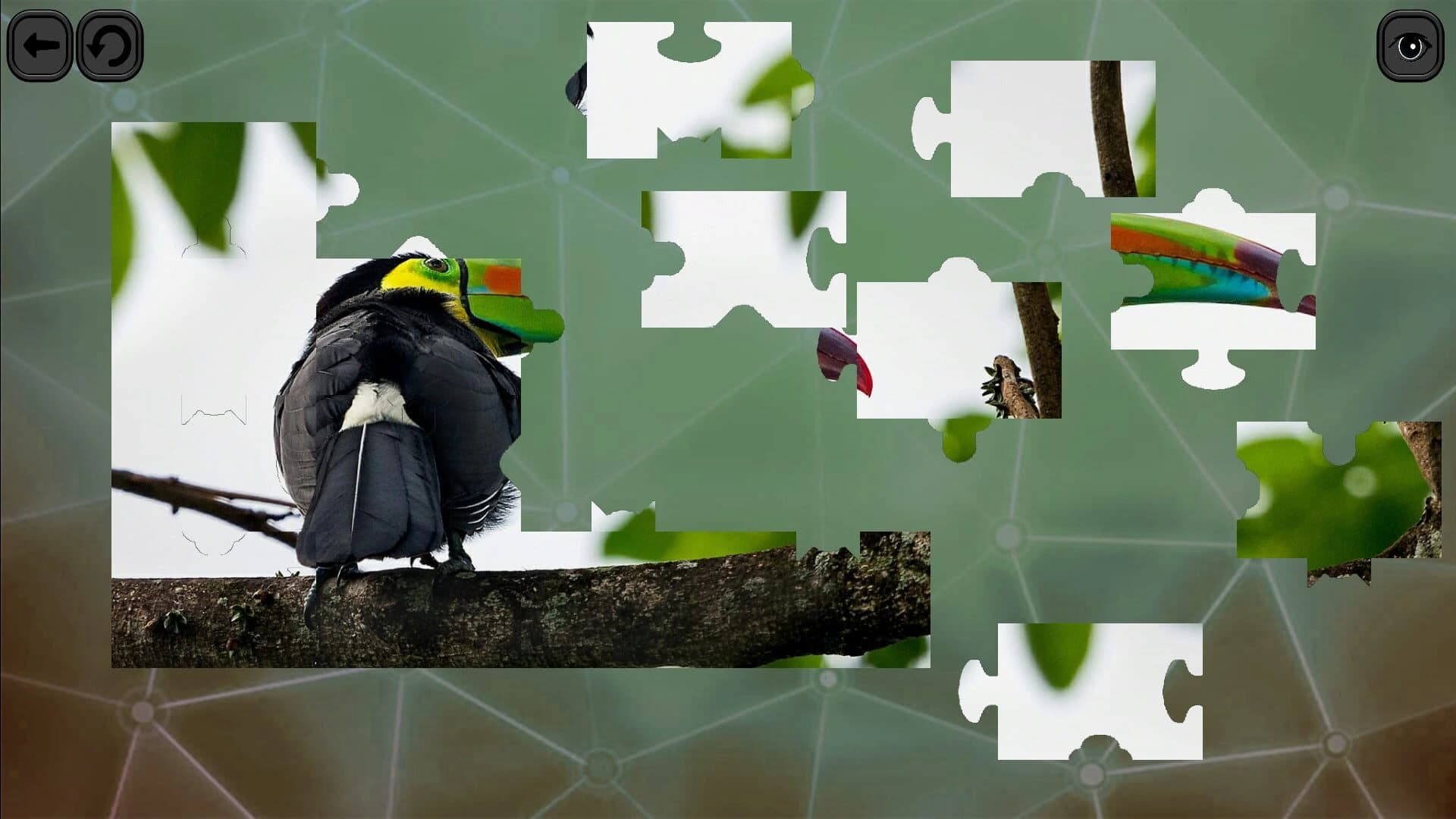 Puzzles for Smart: Birds screenshot 1