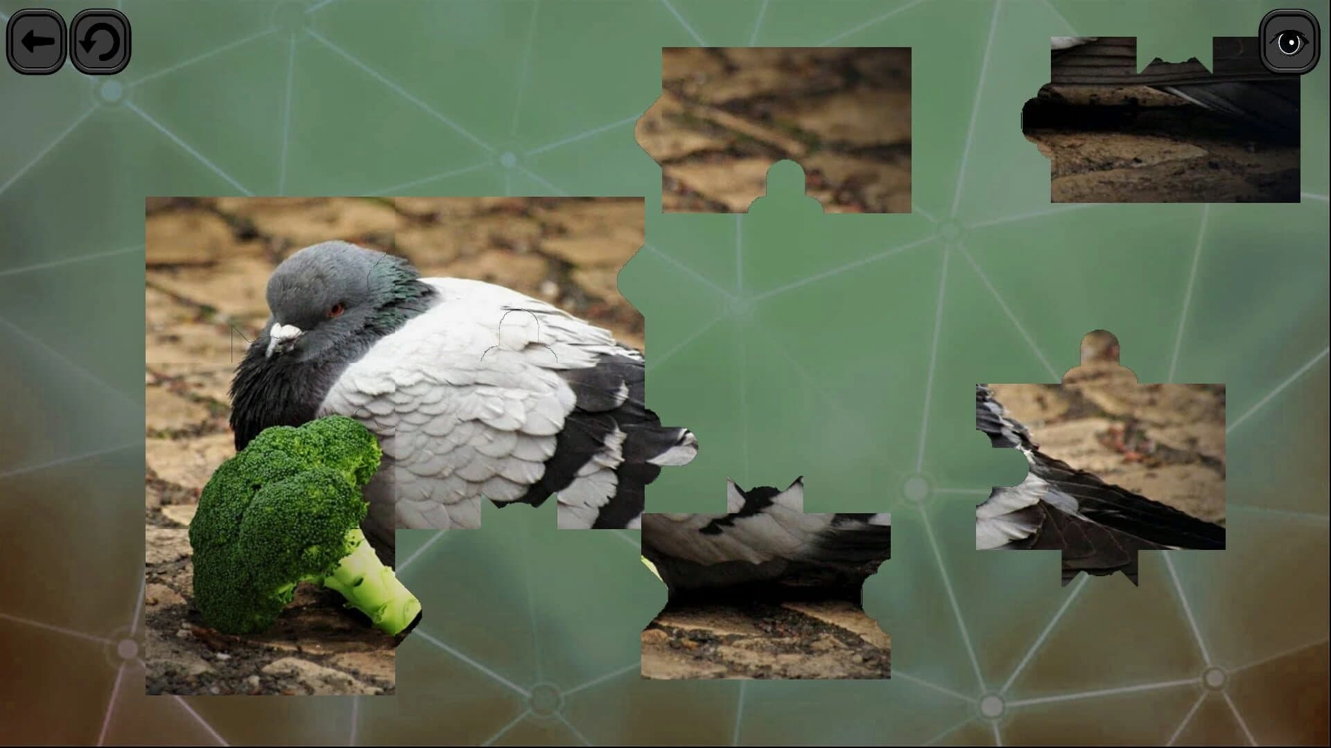 Puzzles for Smart: Birds screenshot 4