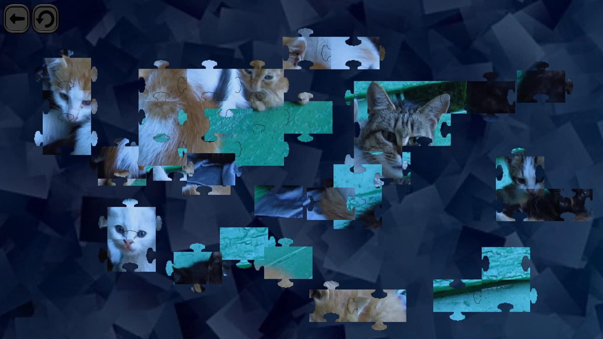 Puzzles for smart: Cats screenshot 1