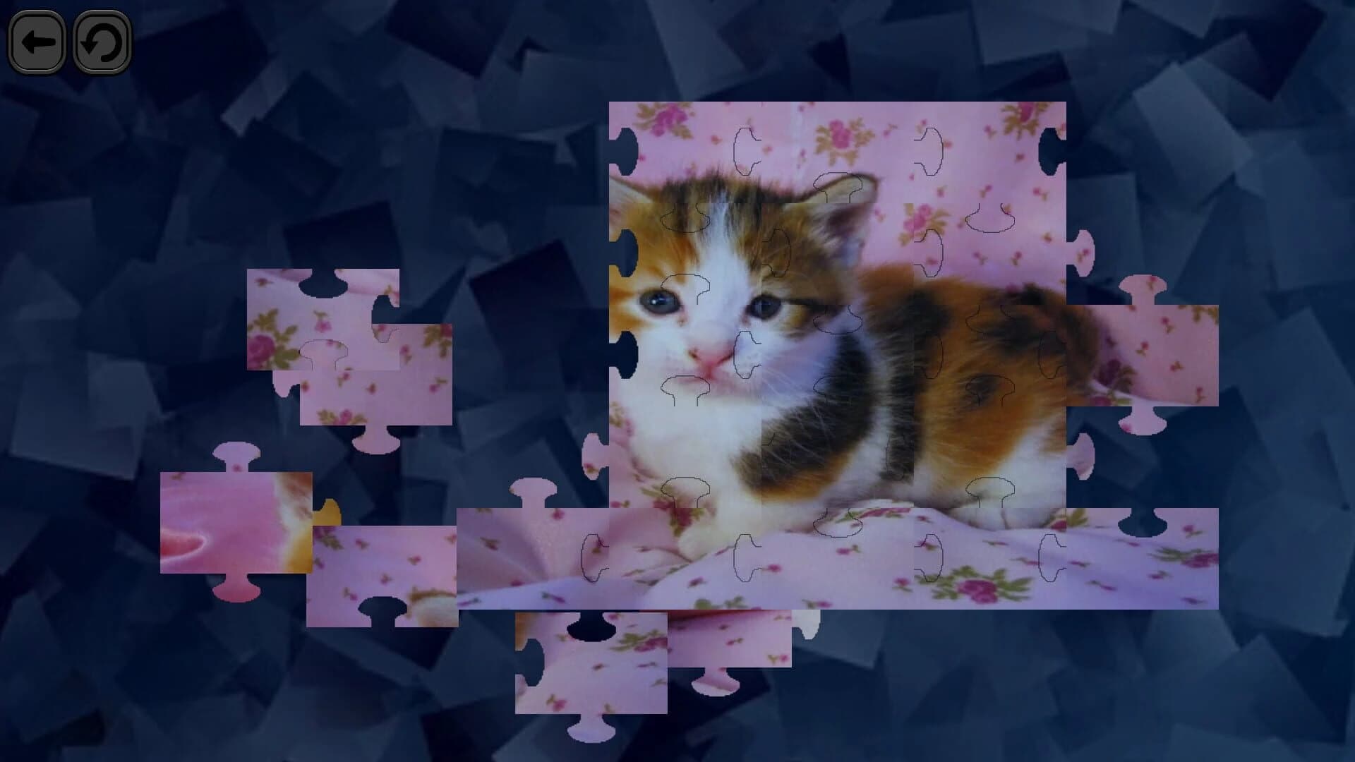 Puzzles for smart: Cats screenshot 5